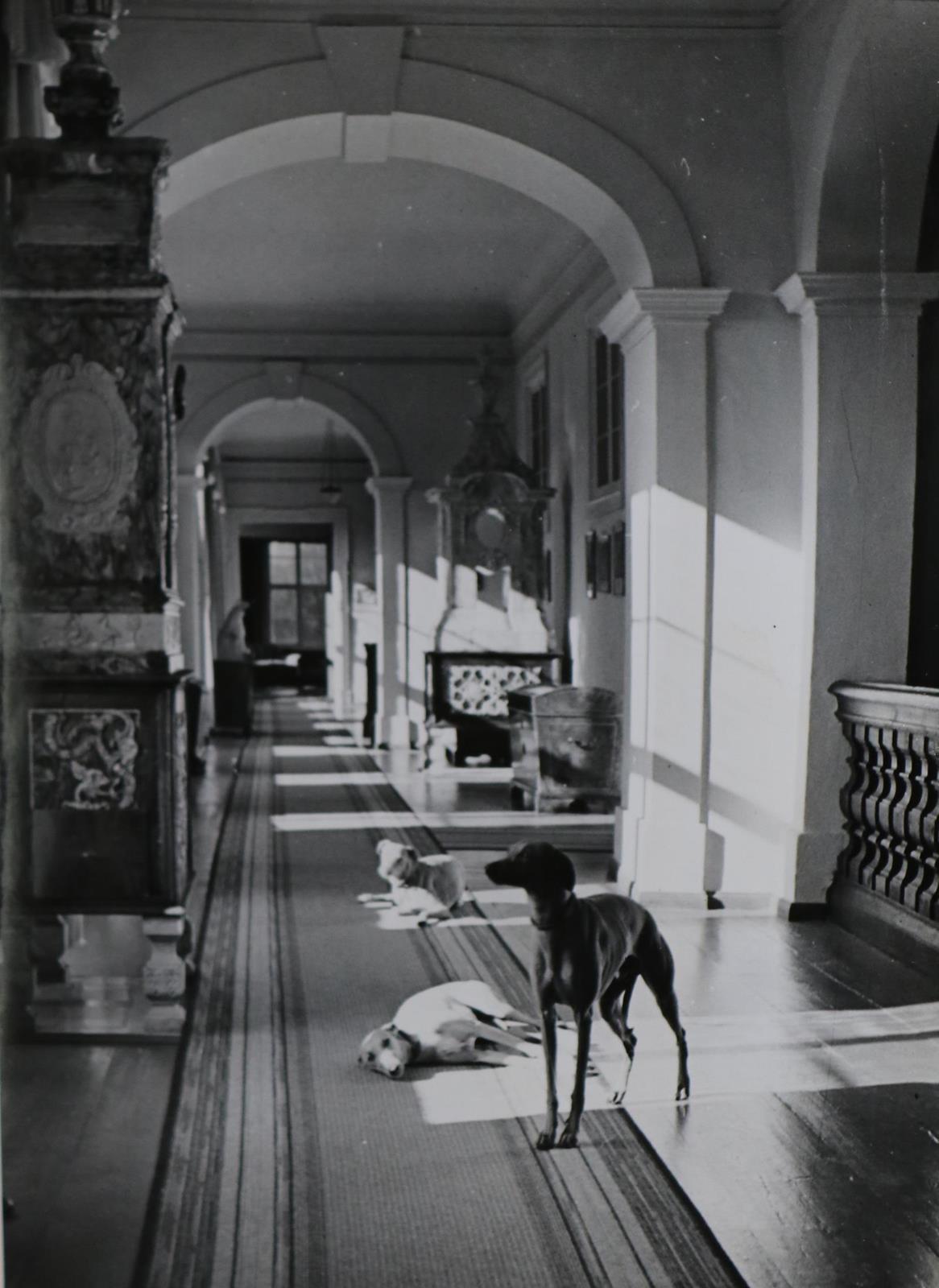 Rückgänge | Bild Nr.1