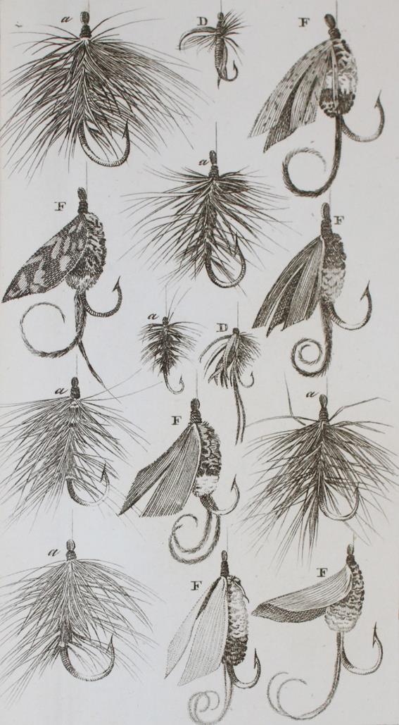 Tscheiner,D.J. | Bild Nr.1