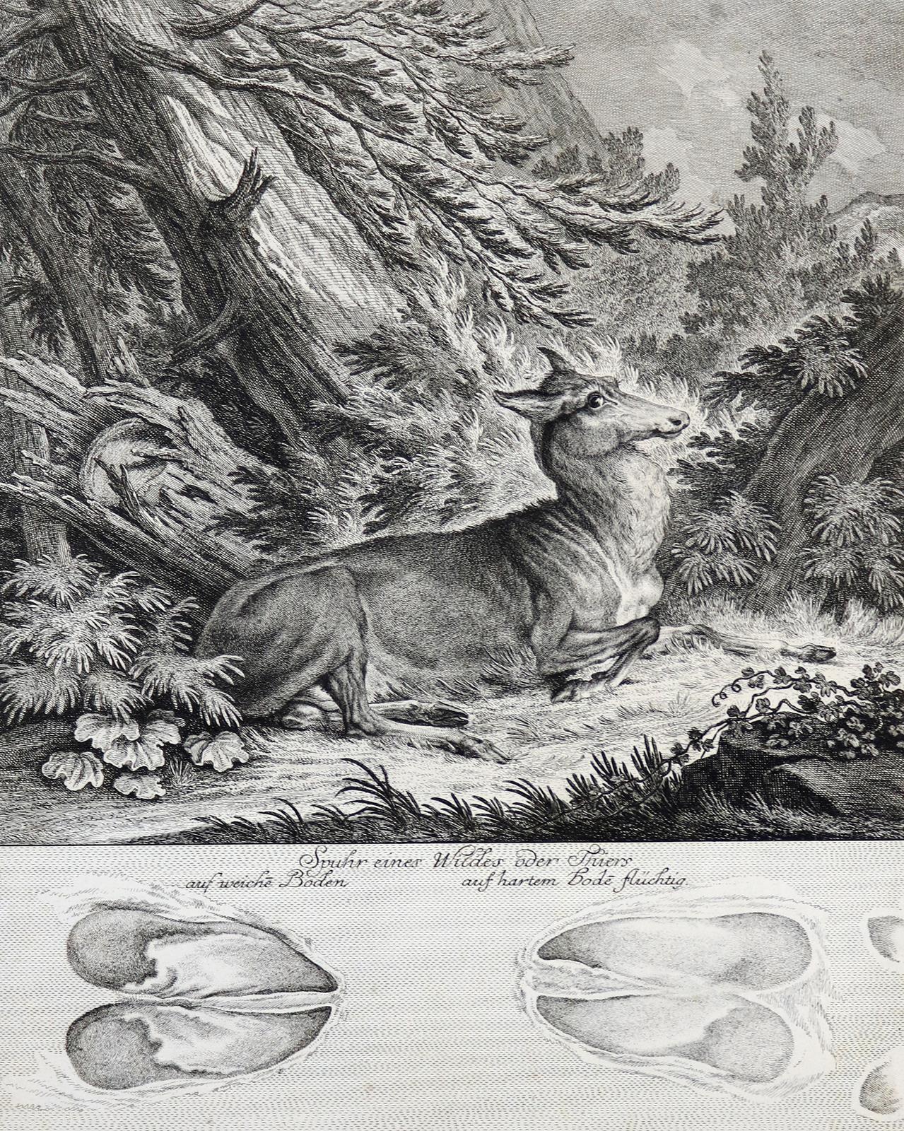 Ridinger,J.E. | Bild Nr.3