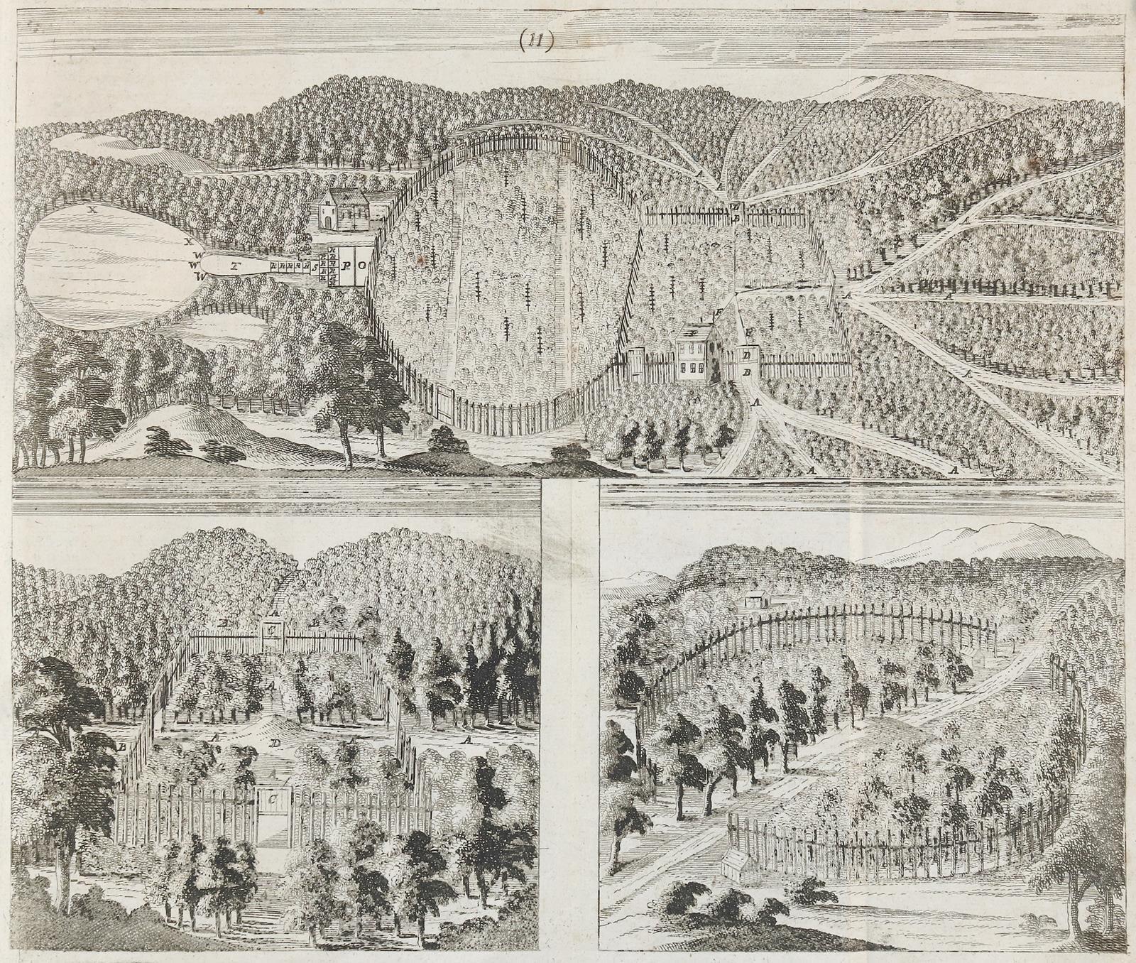 Täntzer,J. | Bild Nr.1