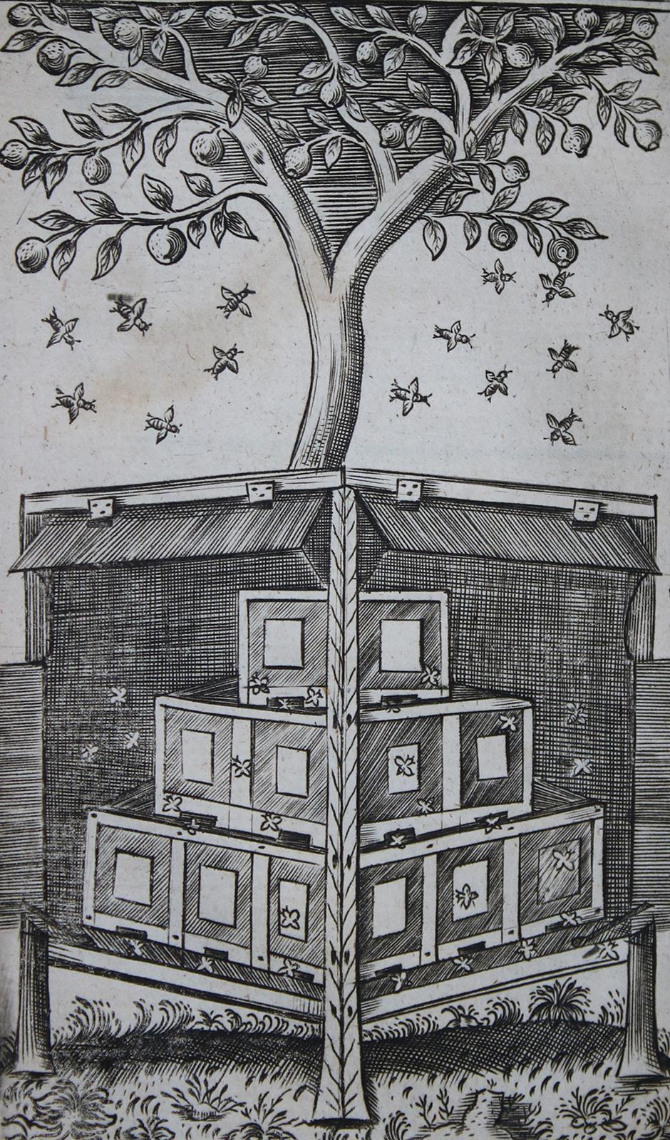 Worlidge,J. | Bild Nr.2