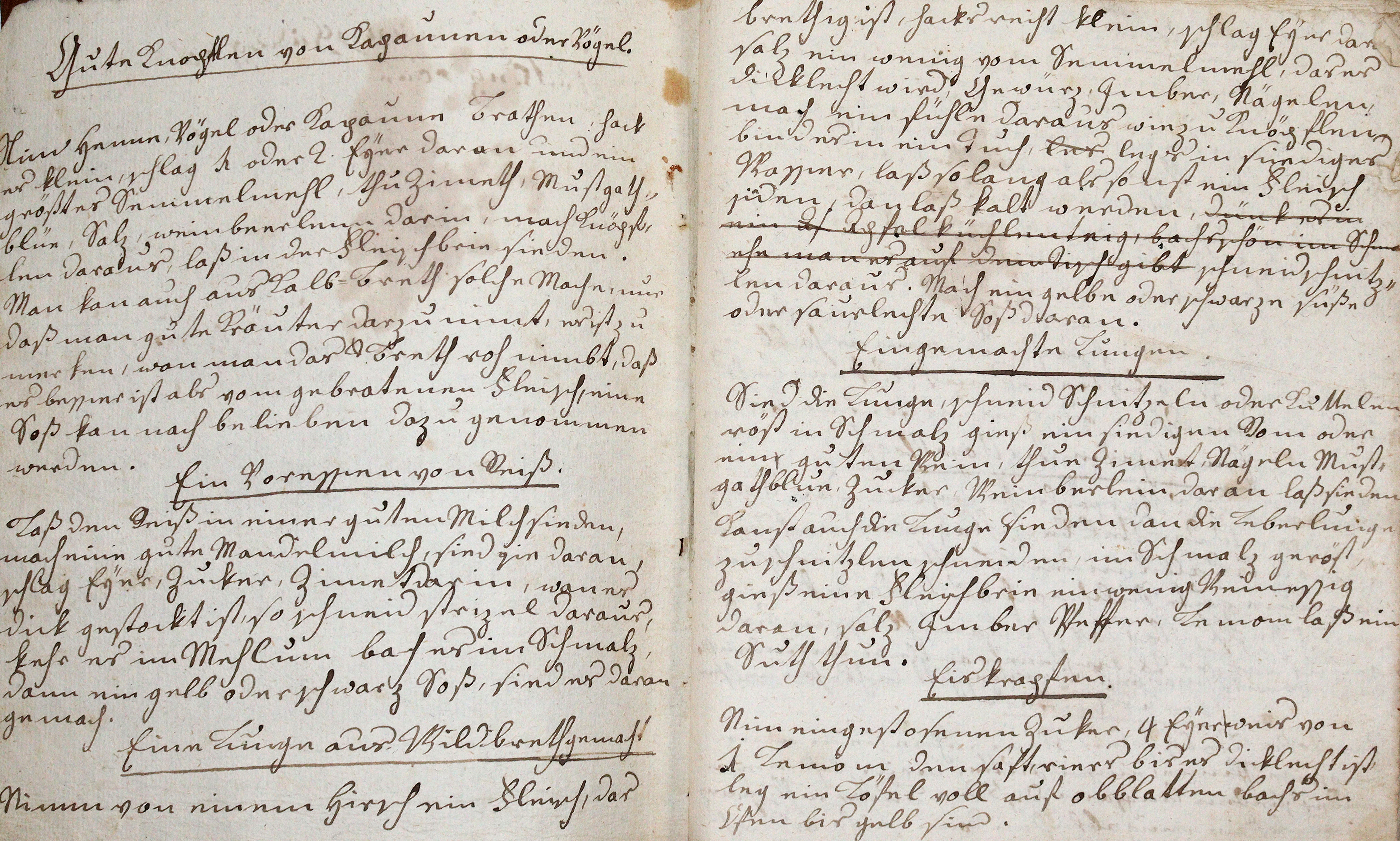 Kochbuch. | Bild Nr.1