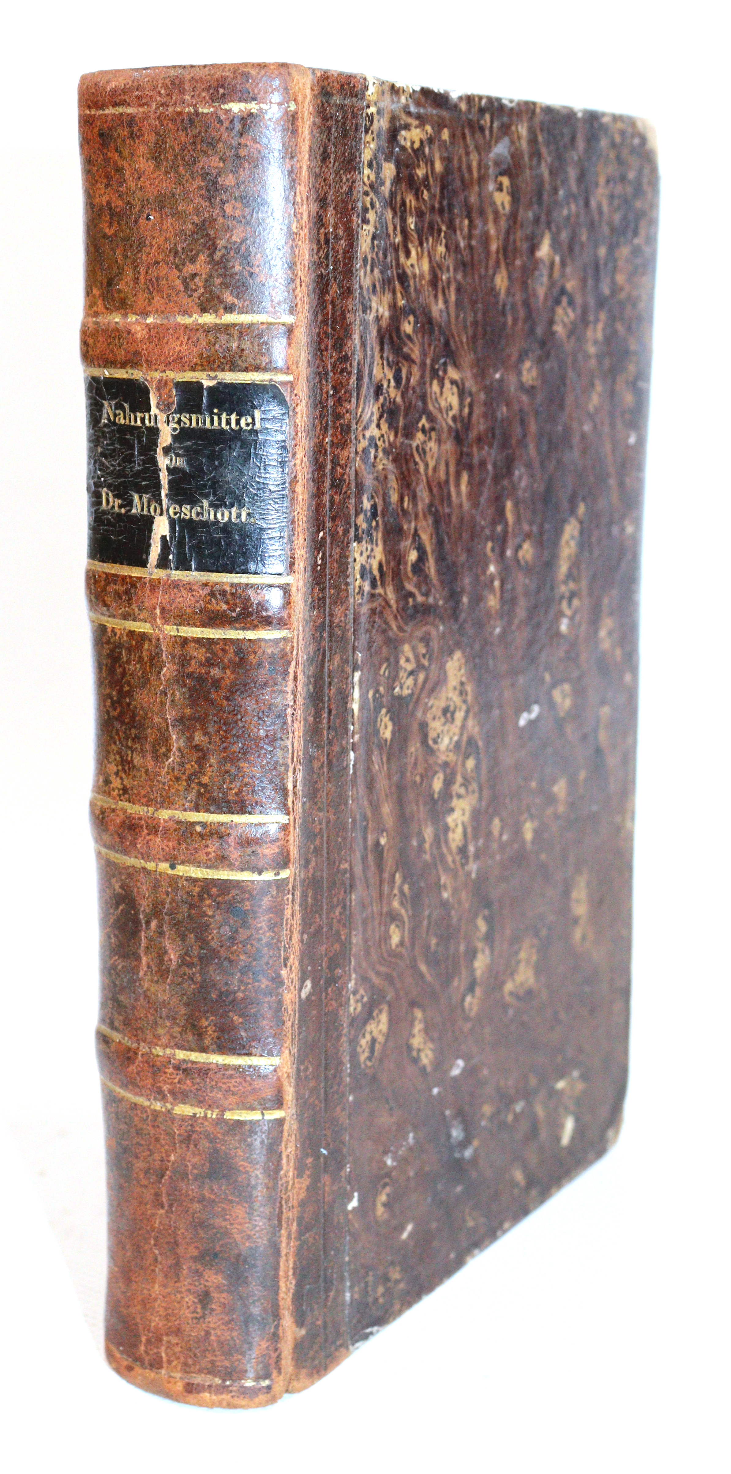 Moleschott,J. | Bild Nr.2