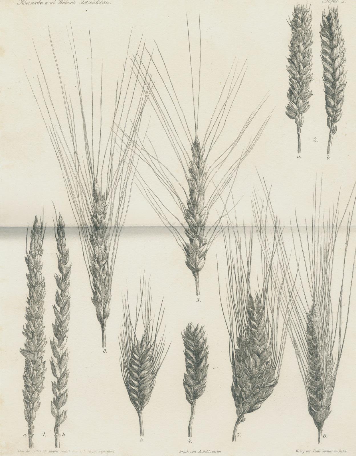 Vierzehnter Jahresbericht | Bild Nr.2