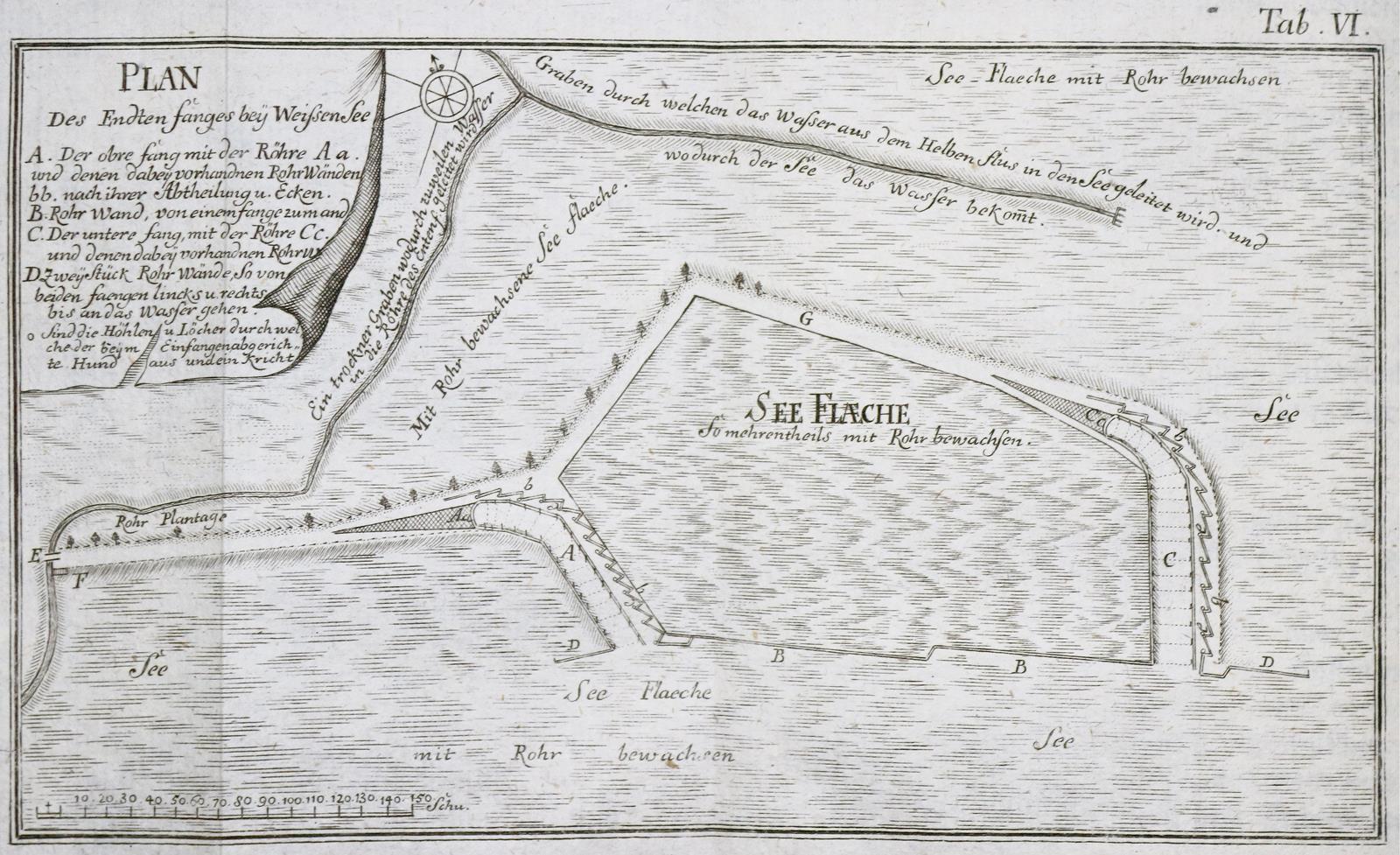 Schreber,D.G. | Bild Nr.4