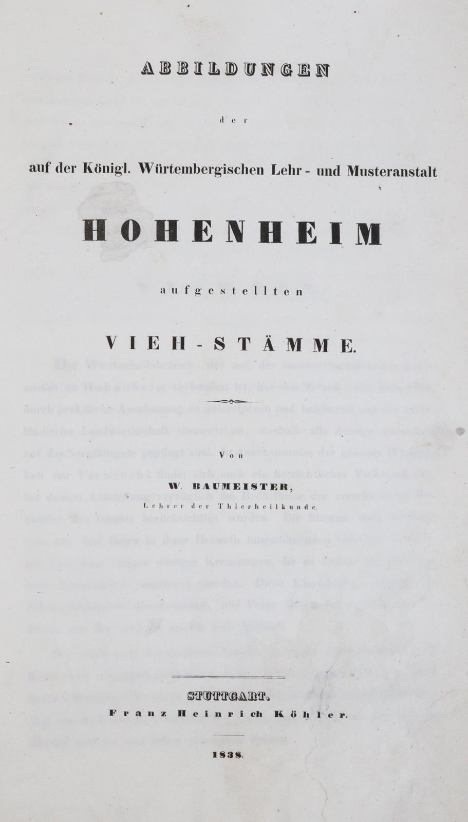 Baumeister,W. | Bild Nr.1