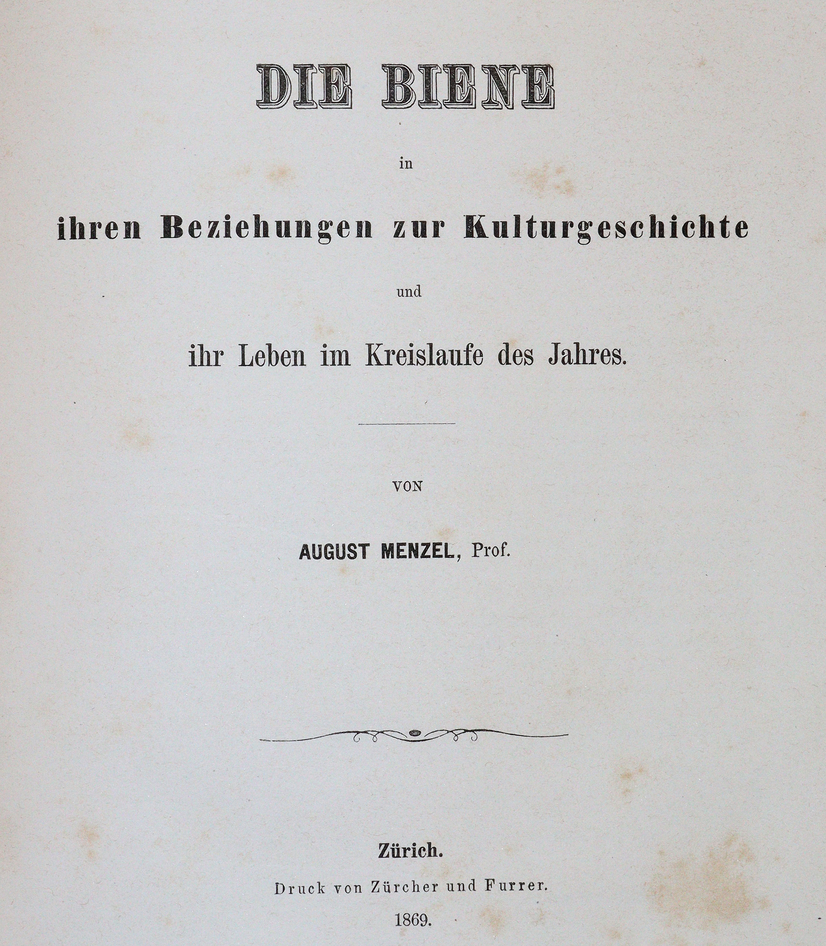 Menzel,A. | Bild Nr.1