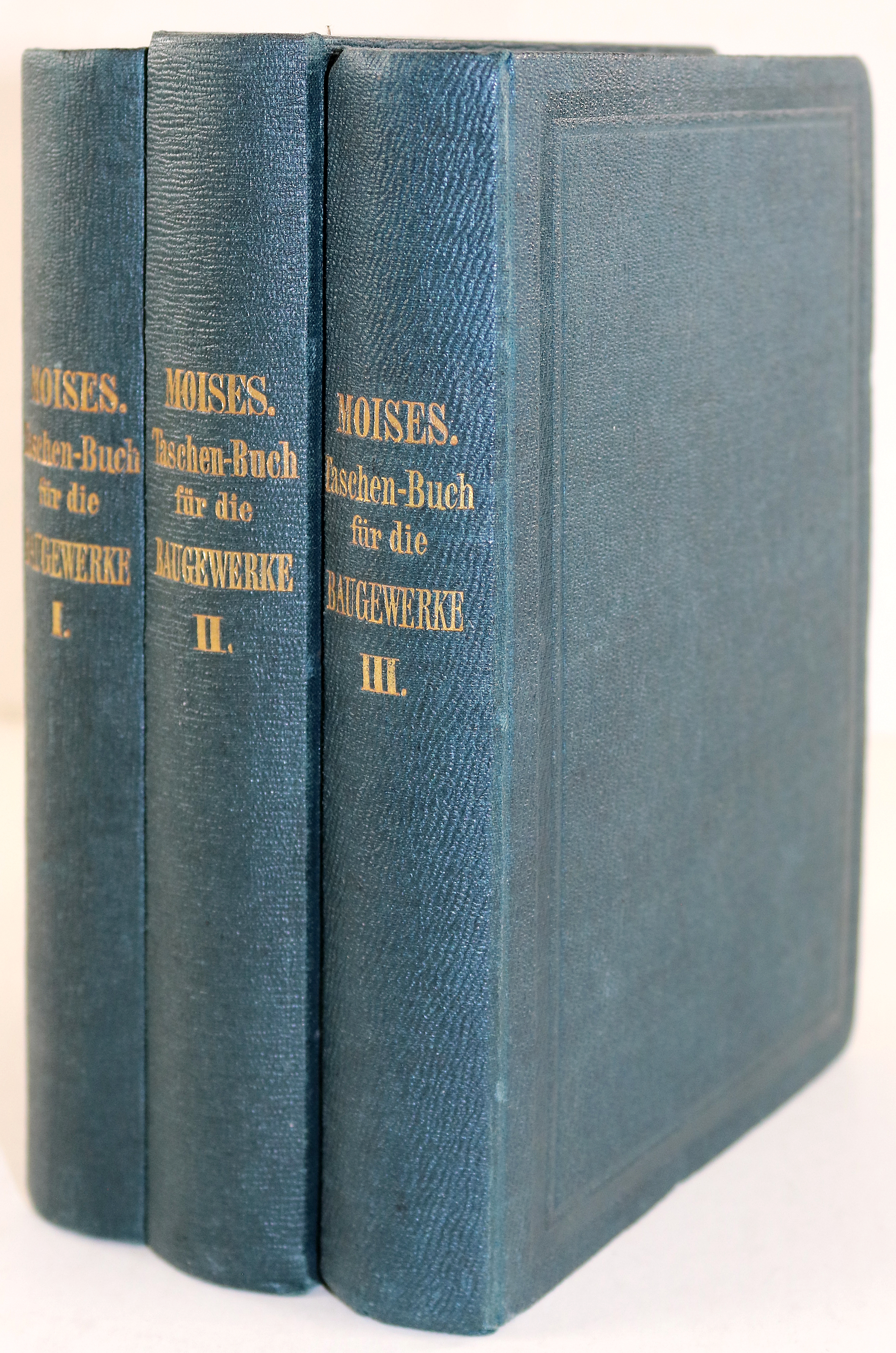 Moises,F. | Bild Nr.6