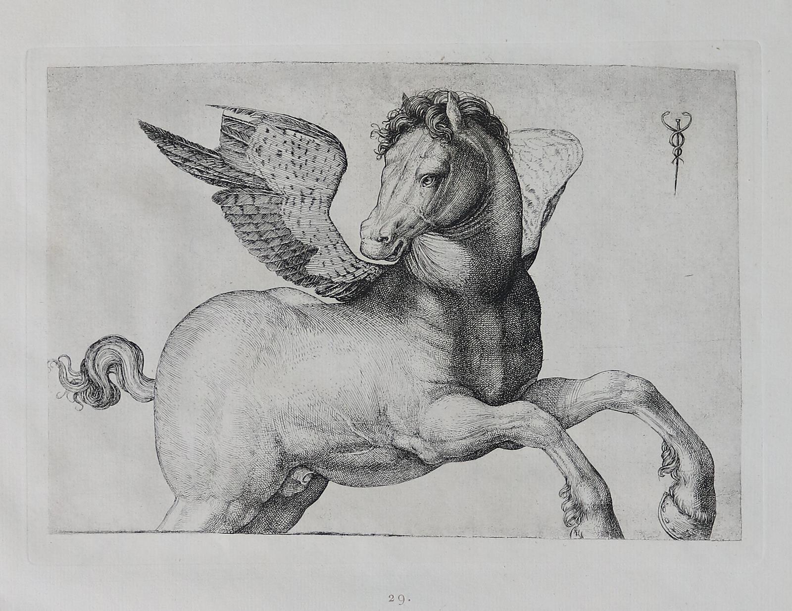 Kristeller,P. (Hrsg.). | Bild Nr.2