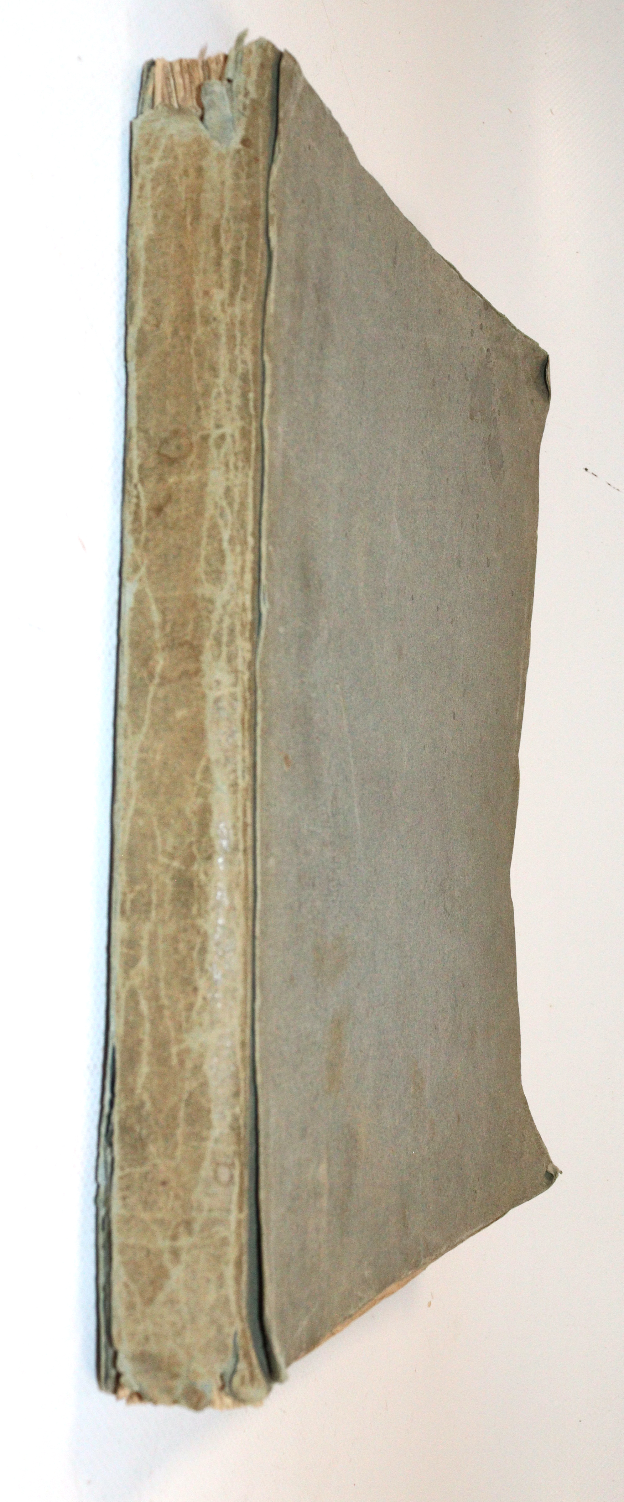 Schlichtegroll,F. | Bild Nr.3