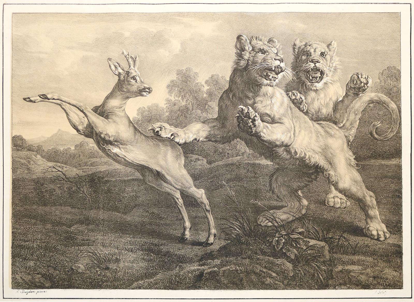 Königlich Baierischer Gemälde-Saal | Bild Nr.2