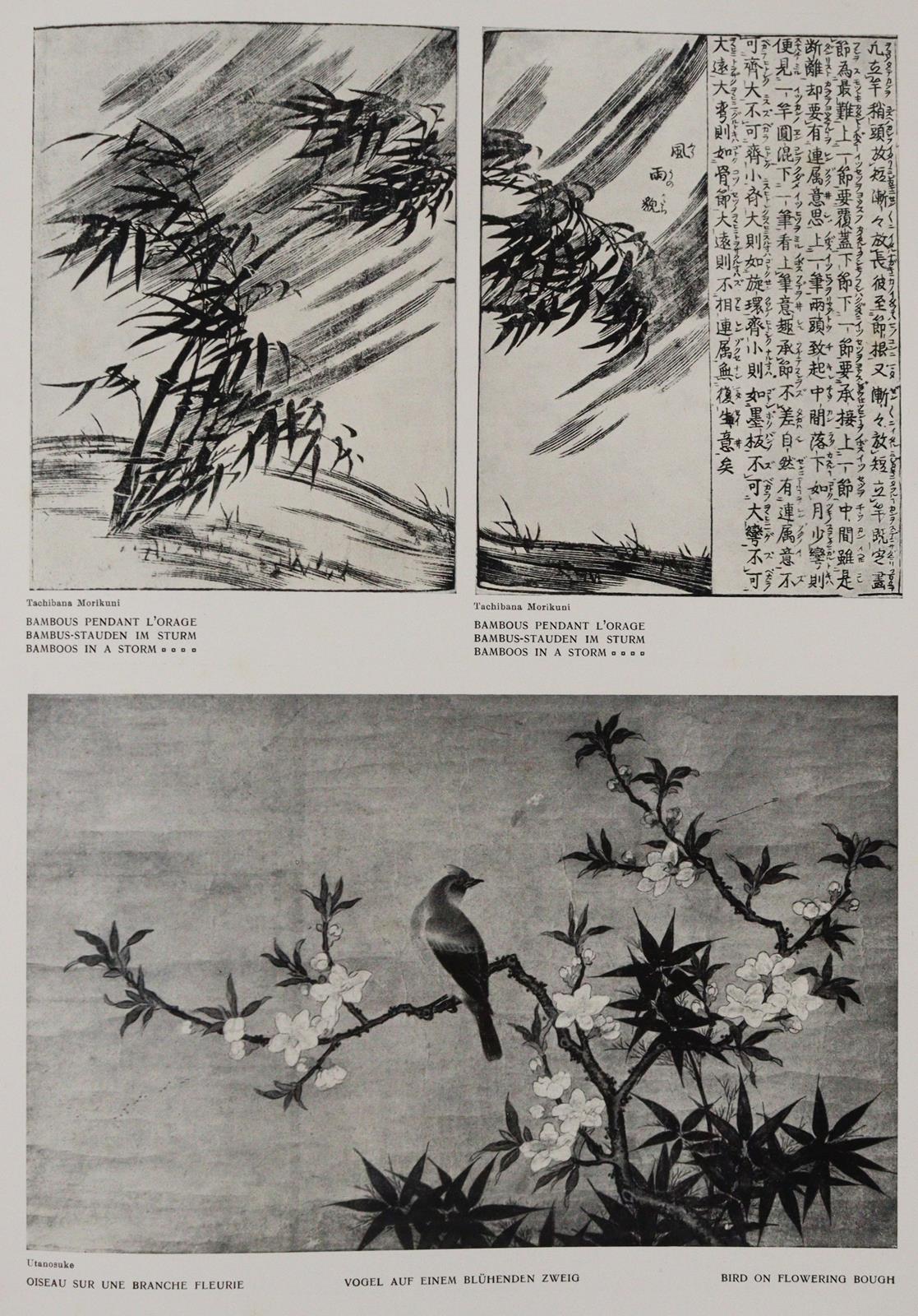 Sammlung | Bild Nr.4