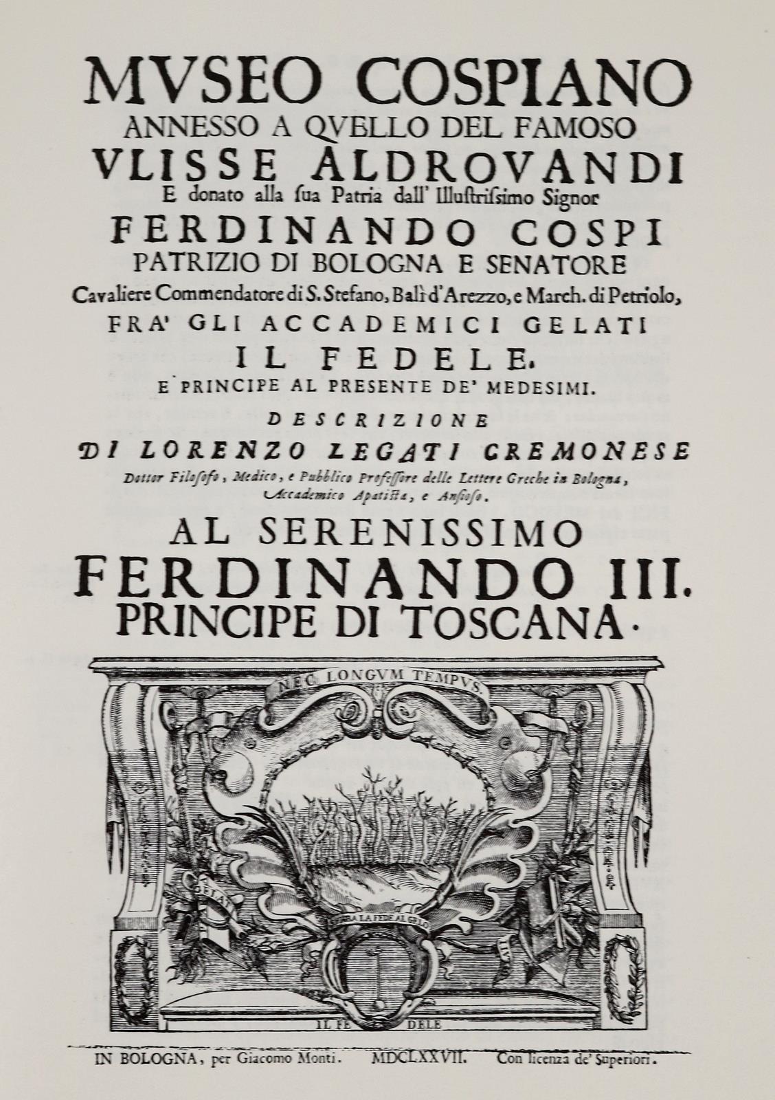 Amerika. | Bild Nr.2