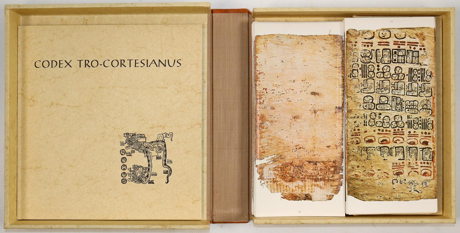 Amerika. | Bild Nr.4