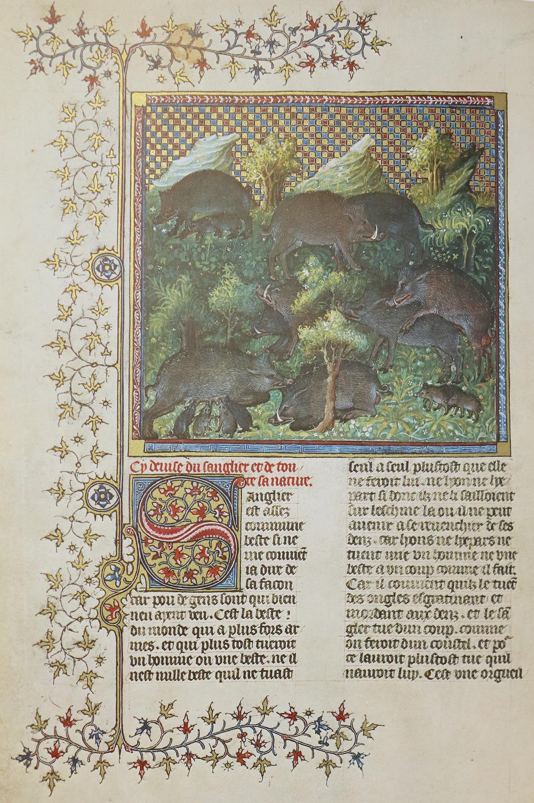 Gaston Phoebus. | Bild Nr.1