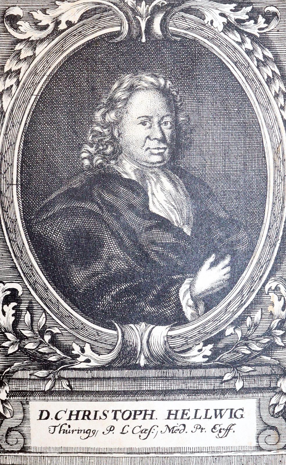 Hellwig,L.C. | Bild Nr.2