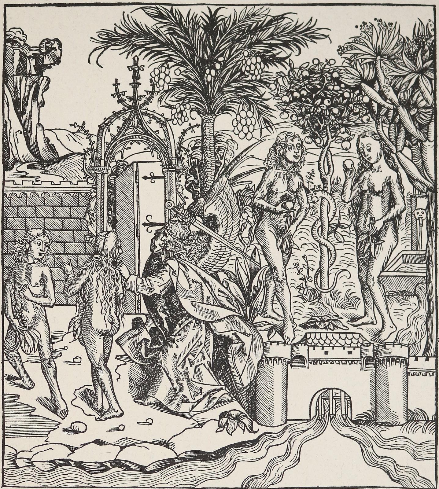 Schedel,H. | Bild Nr.1