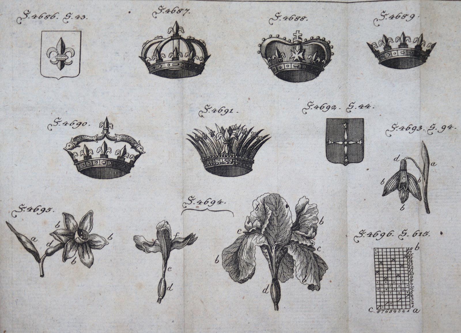 Krünitz,J.G. | Bild Nr.16