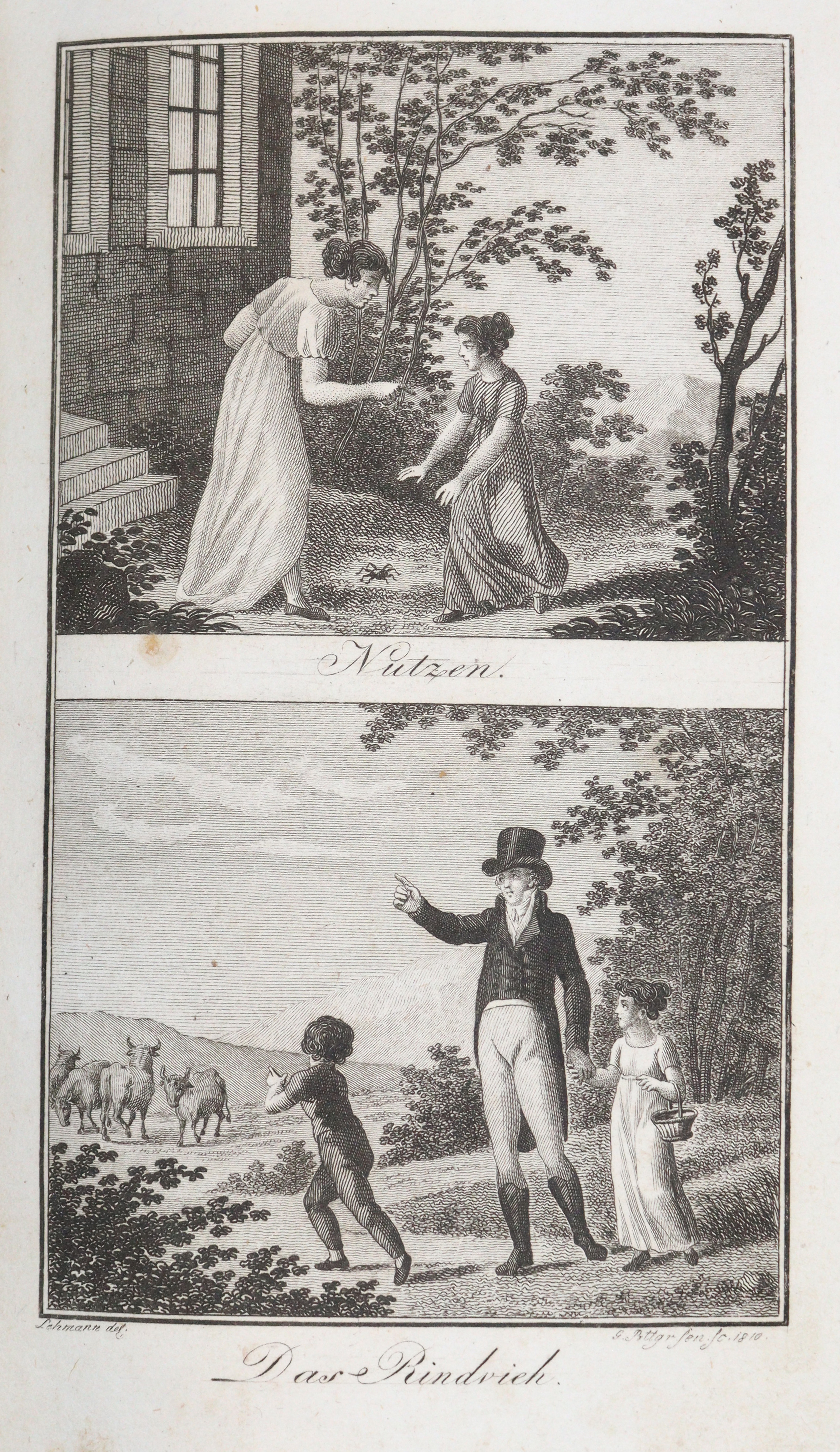 Herrmann,F.(W.). | Bild Nr.2