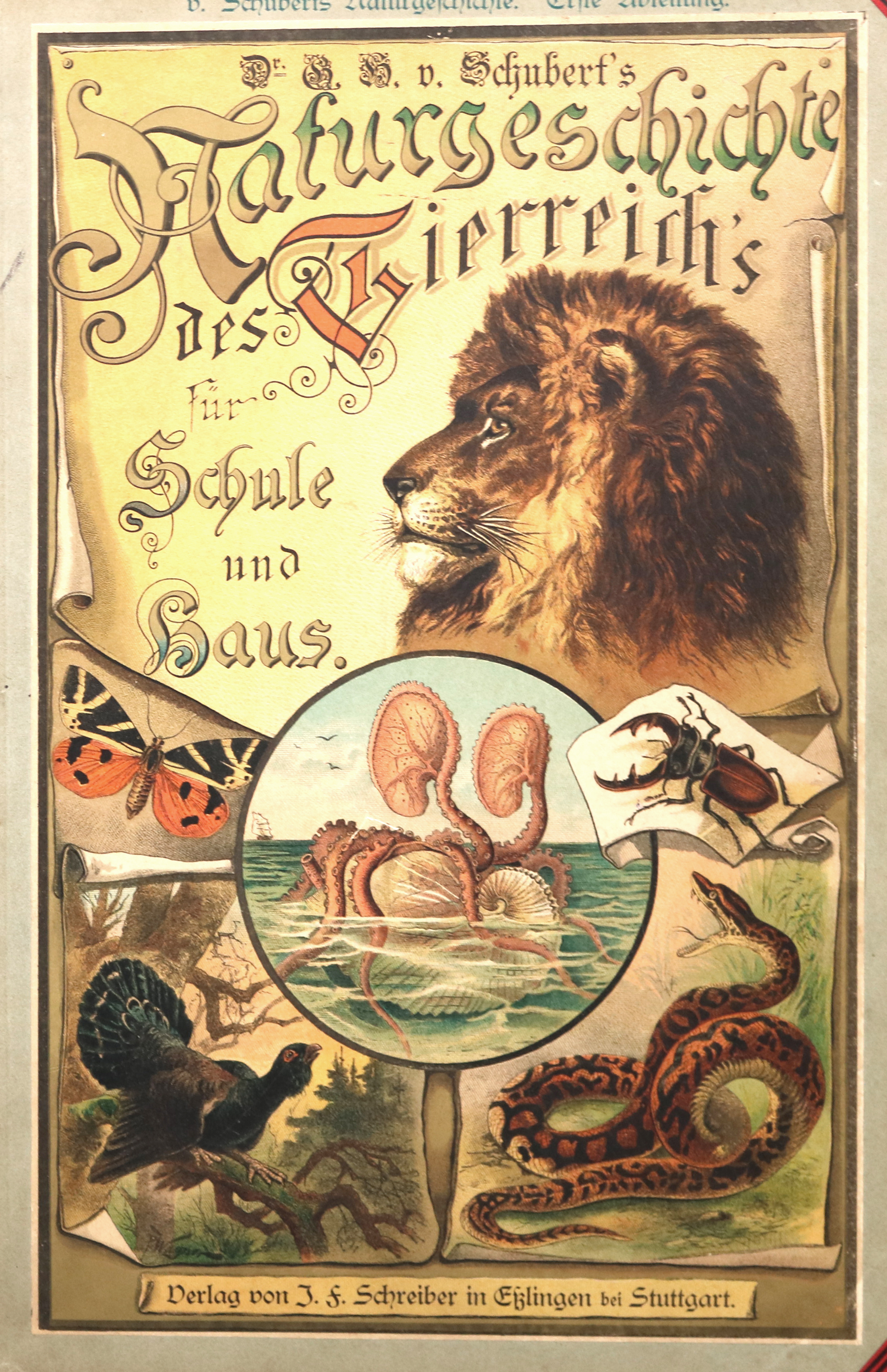 Konvolut | Bild Nr.1