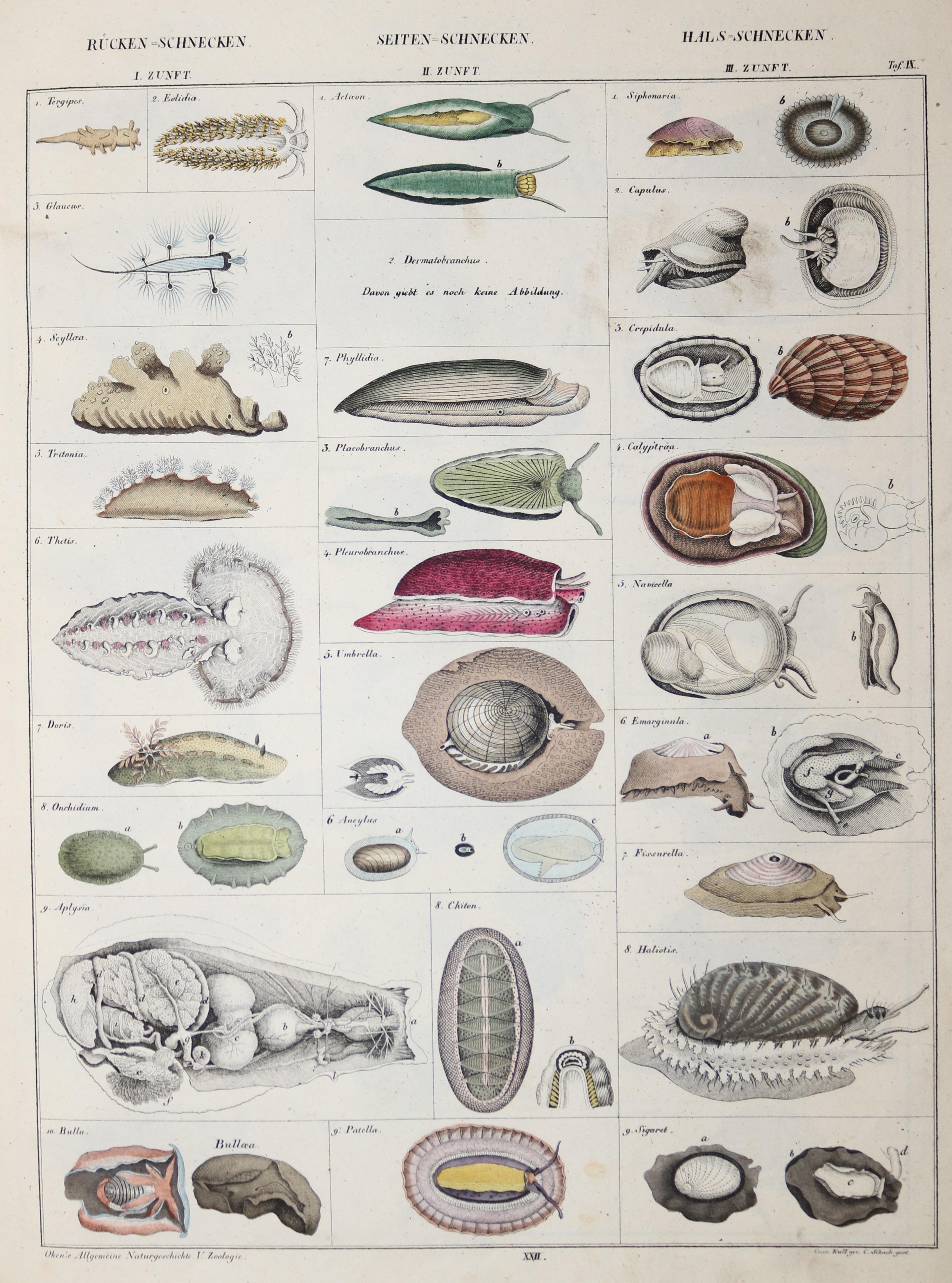 Konvolut | Bild Nr.2