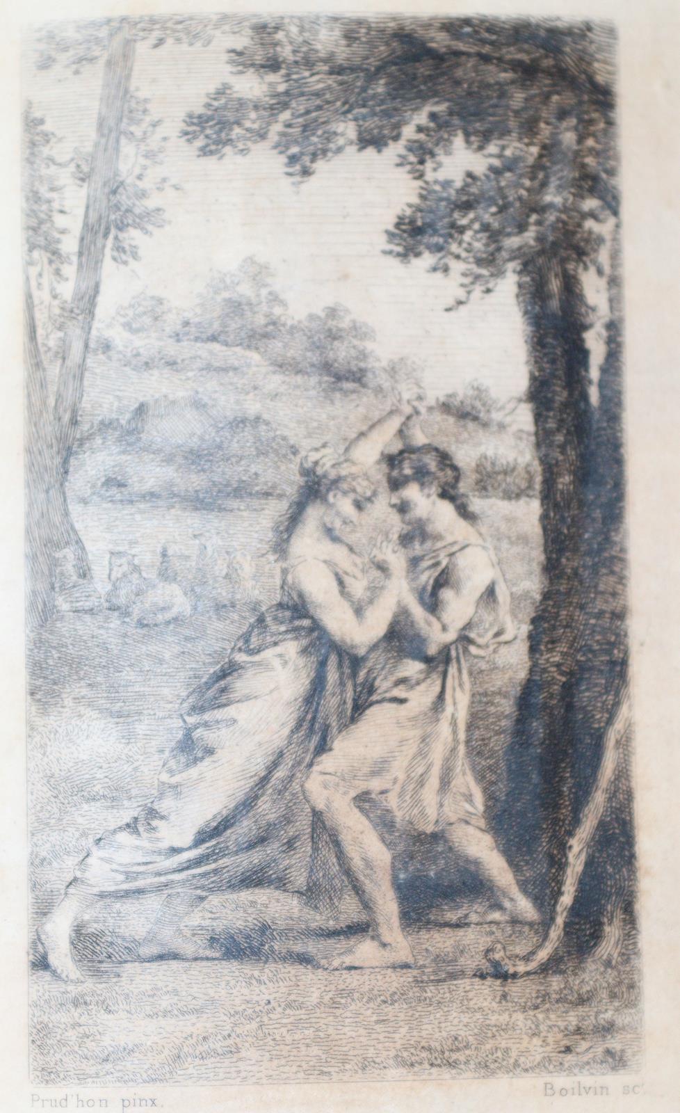 Olivfarbener Maroquineinband | Bild Nr.8