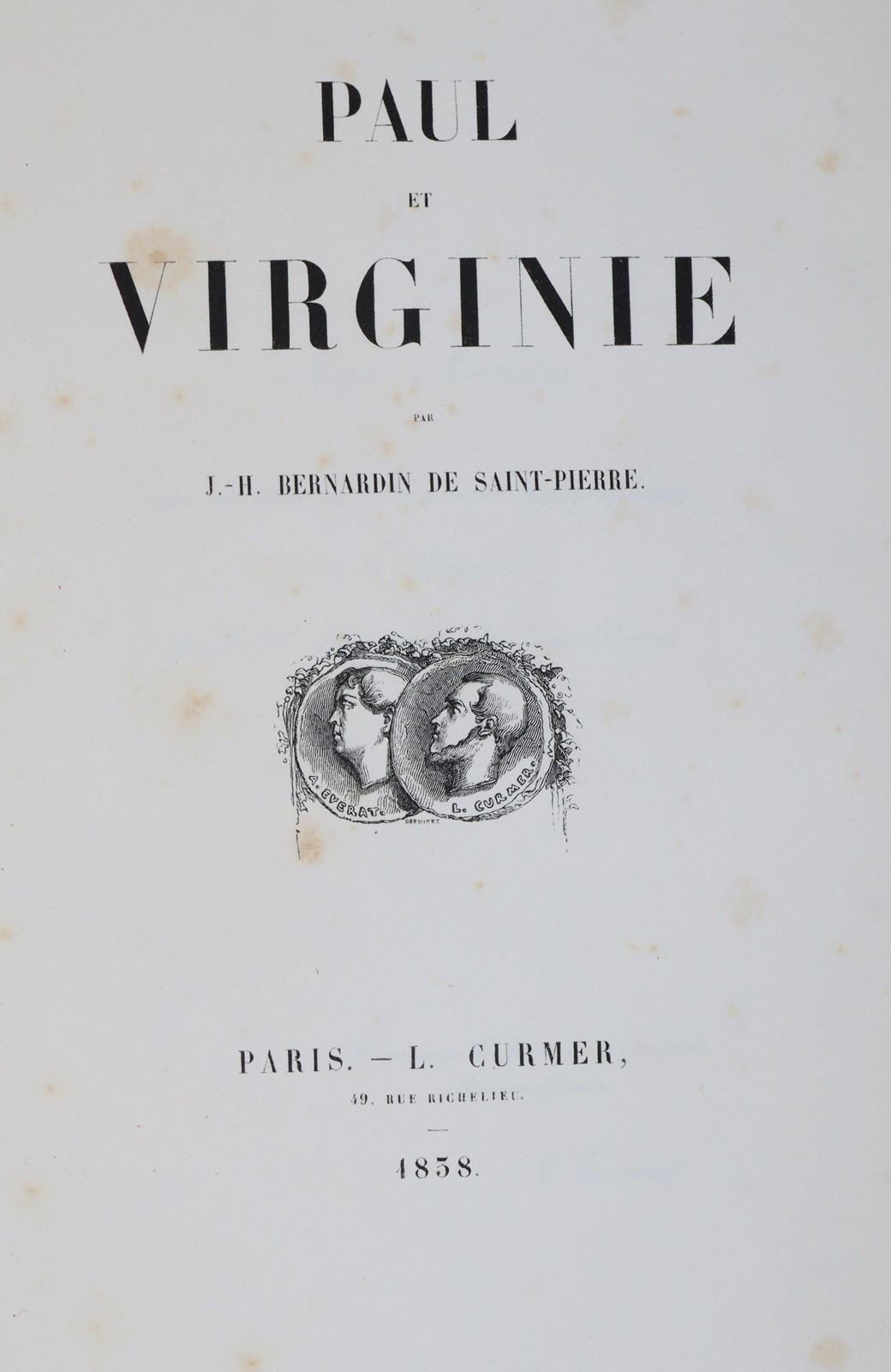 Olivfarbener Maroquineinband | Bild Nr.11