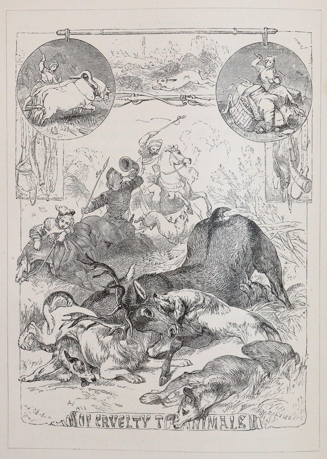 Rotbrauner Maroquin | Bild Nr.2