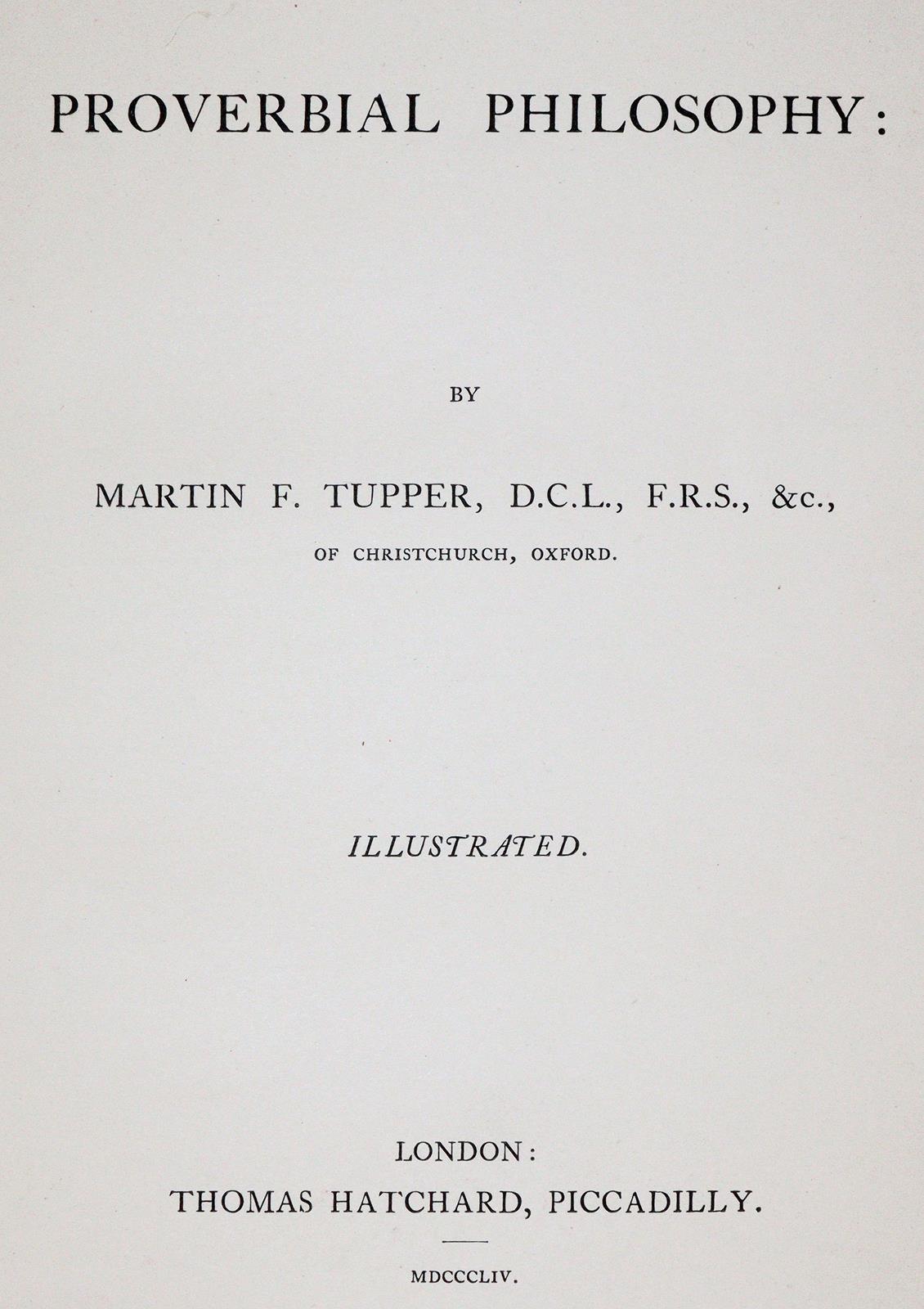 Rotbrauner Maroquin | Bild Nr.3