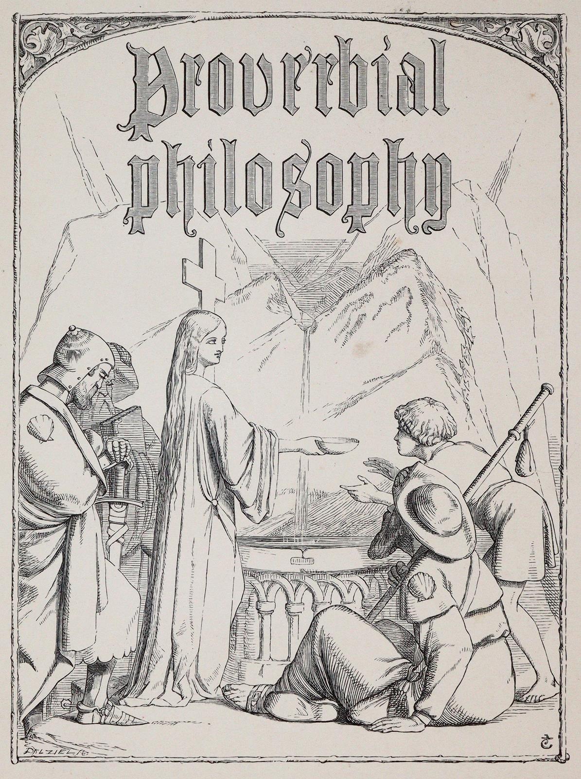 Rotbrauner Maroquin | Bild Nr.4