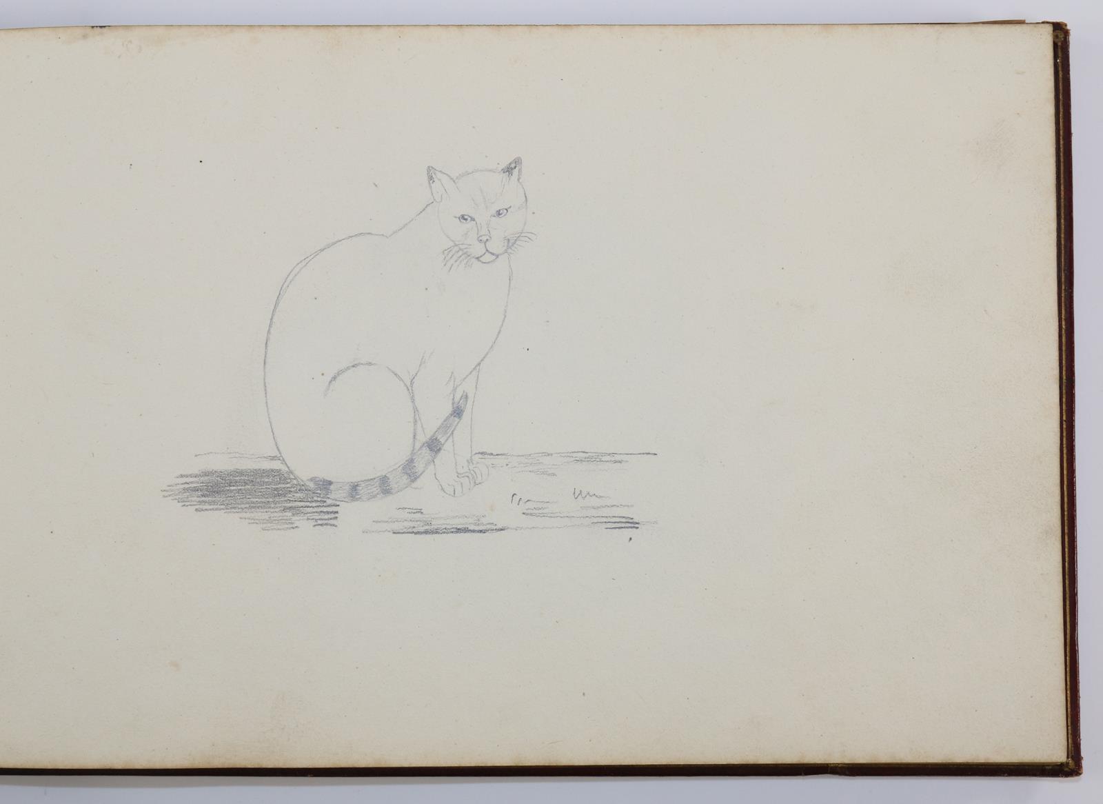 Rotbraunes Leder-Album | Bild Nr.11