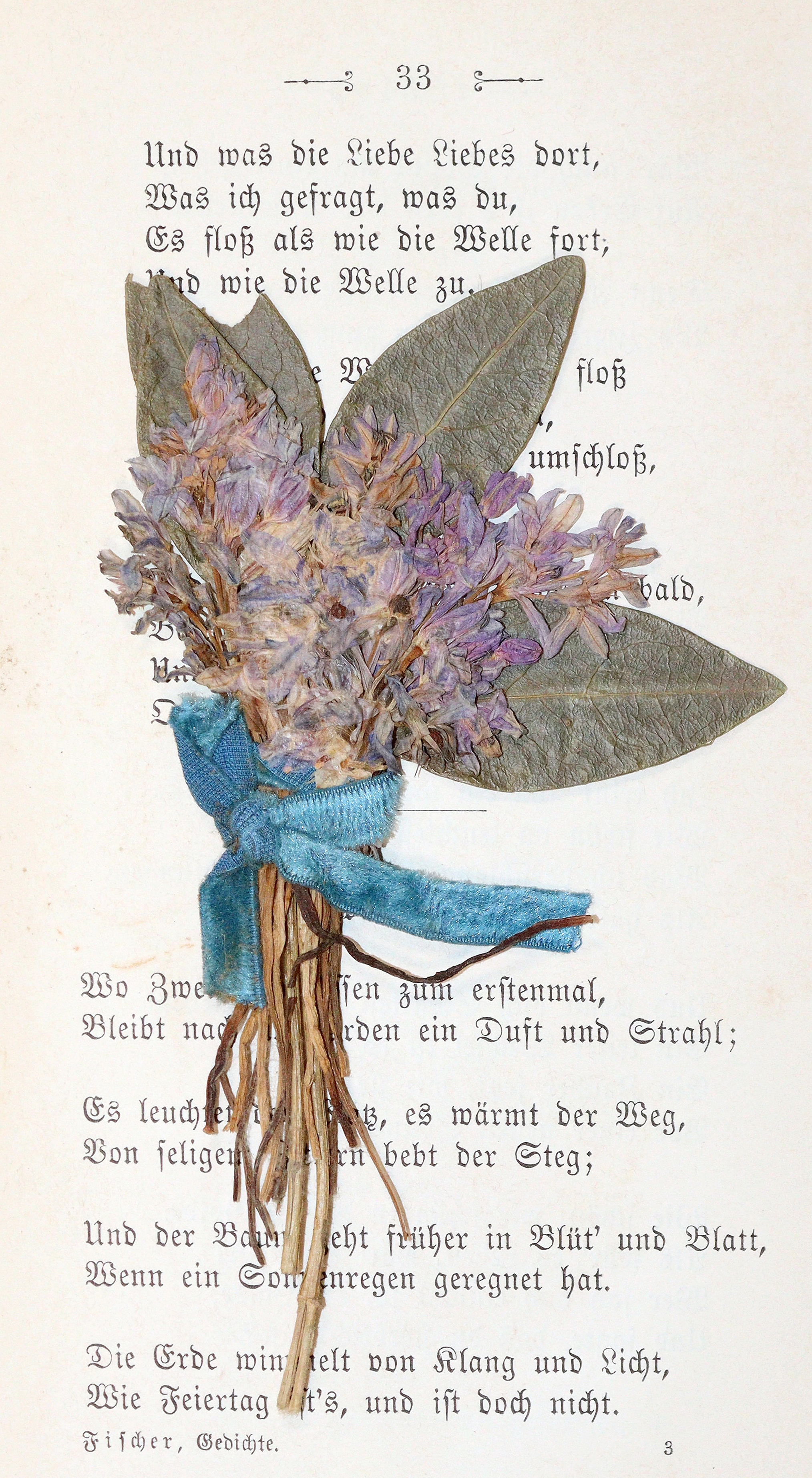 Fischer,J.G. | Bild Nr.2