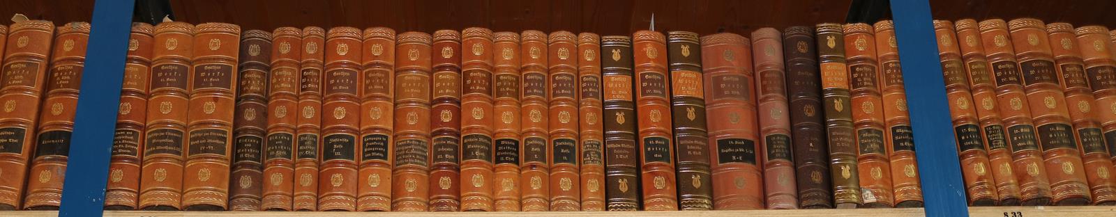 Goethe,J.W.v. | Bild Nr.2