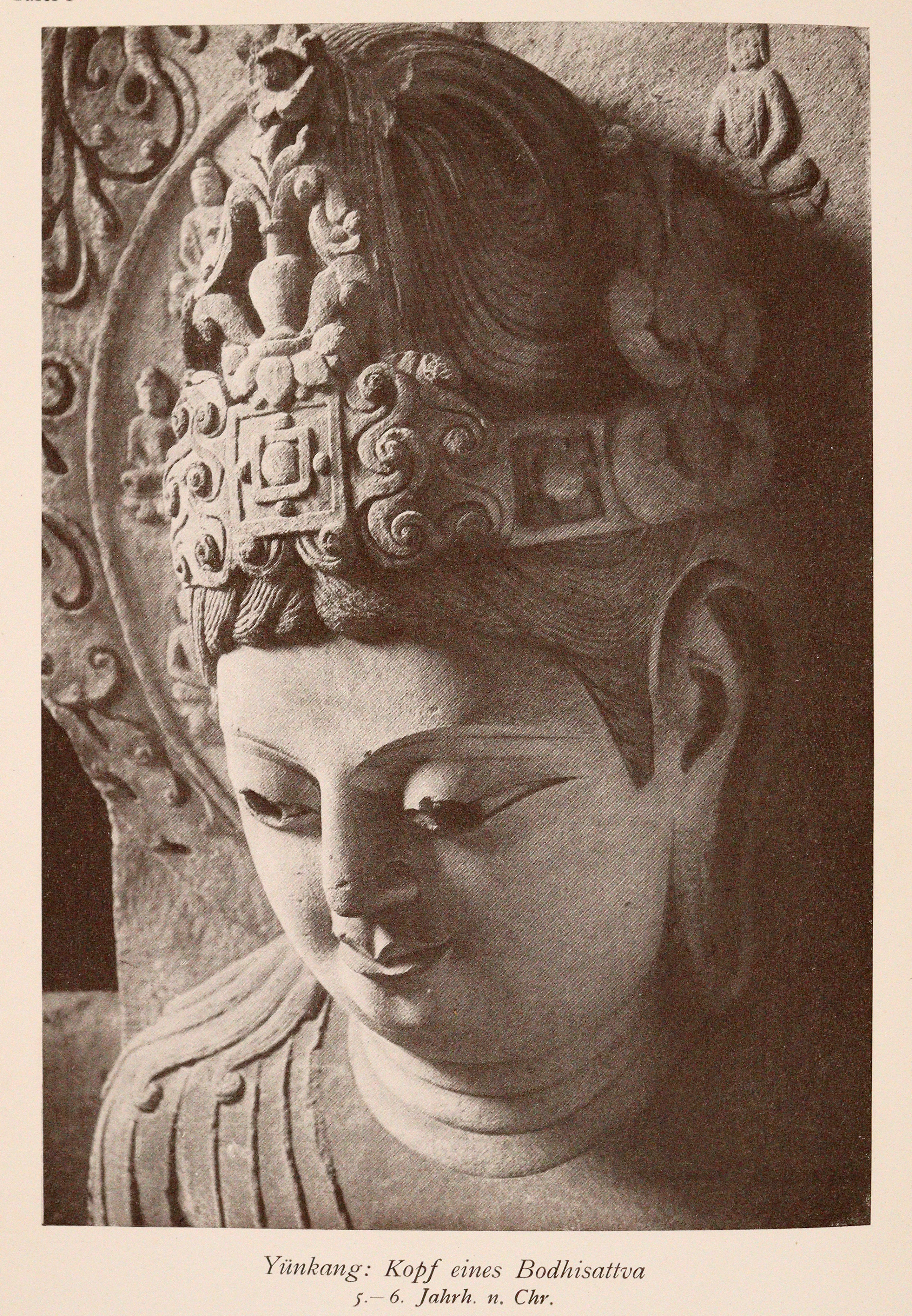 Schwerdtfeger,M. | Bild Nr.3