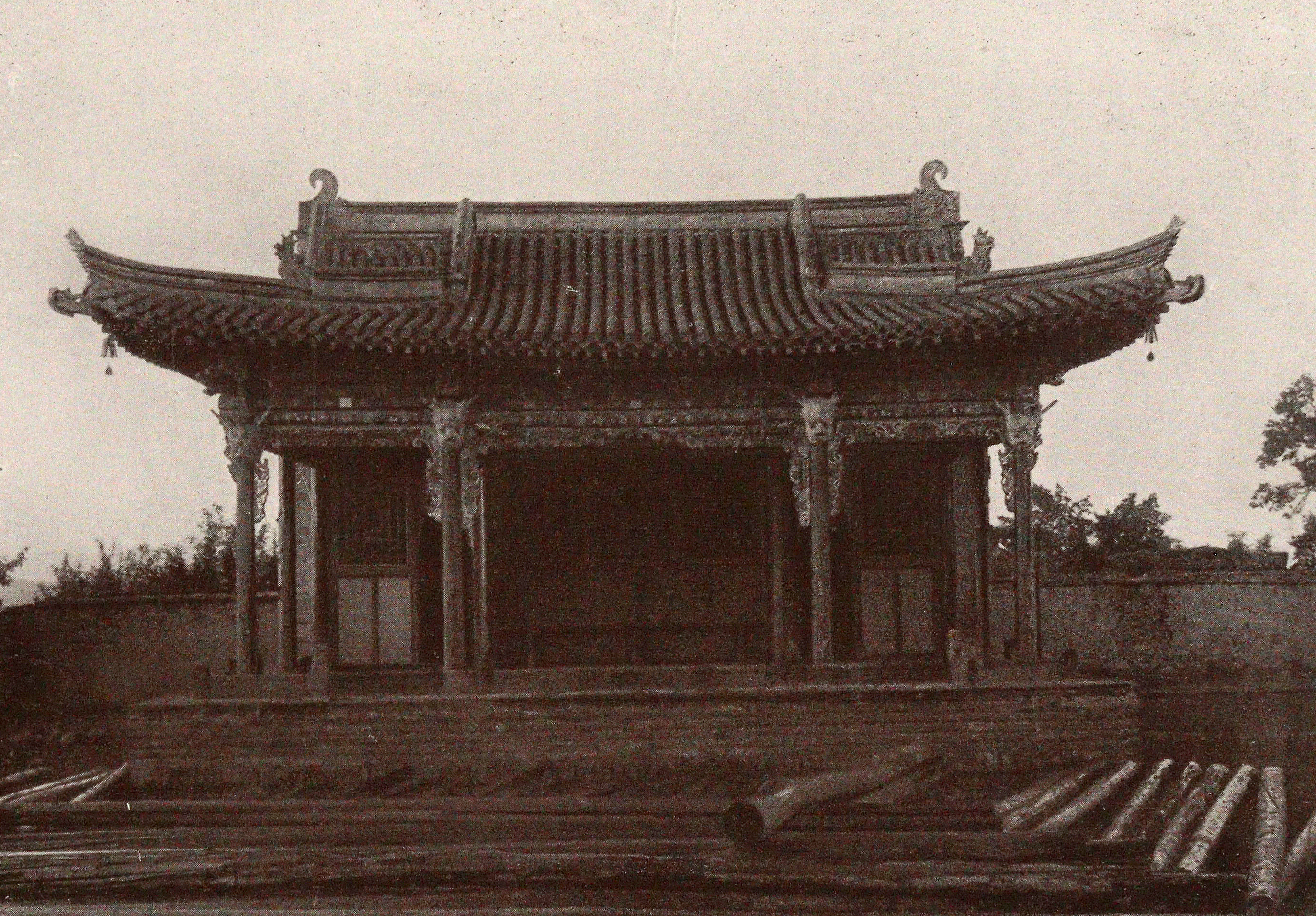 Schwerdtfeger,M. | Bild Nr.5