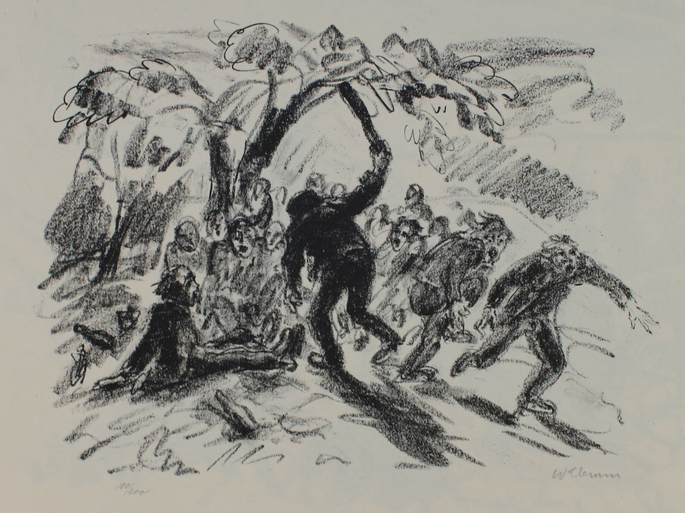 Klemm,W. | Bild Nr.8