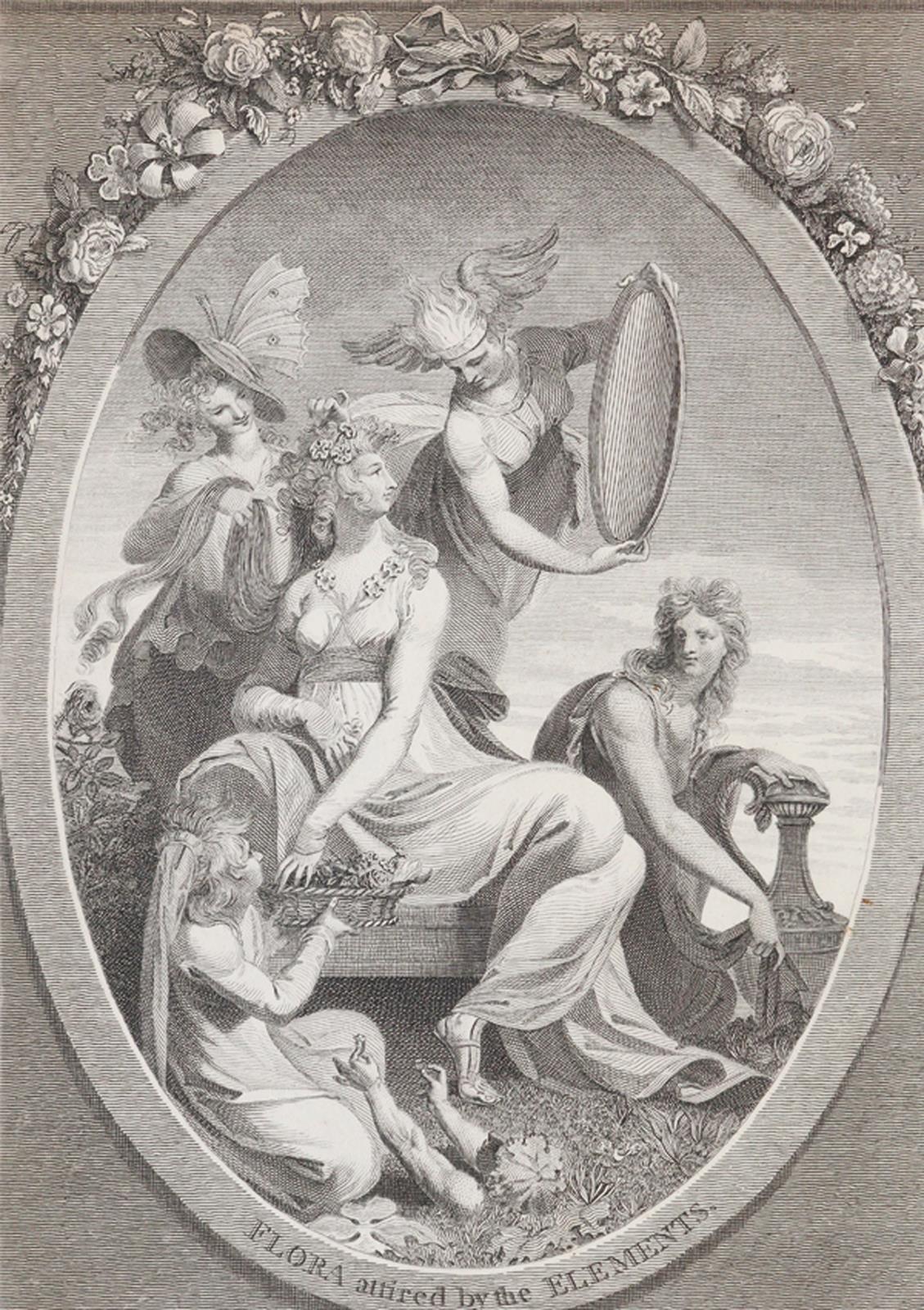 (Darwin,E.). | Bild Nr.2