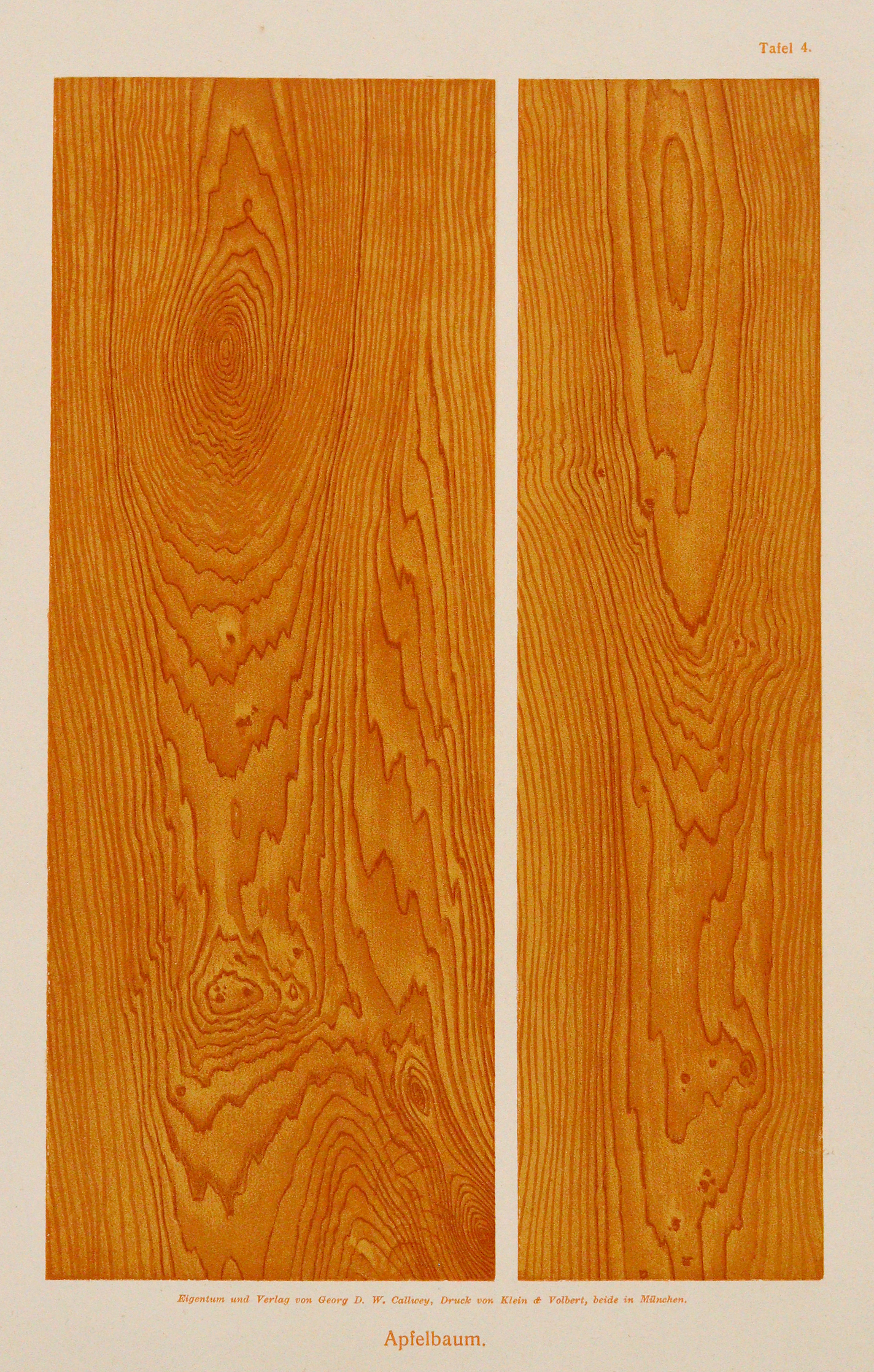 Hebing,C. | Bild Nr.1