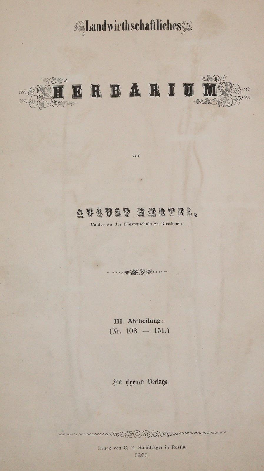 Herbarium. | Bild Nr.1