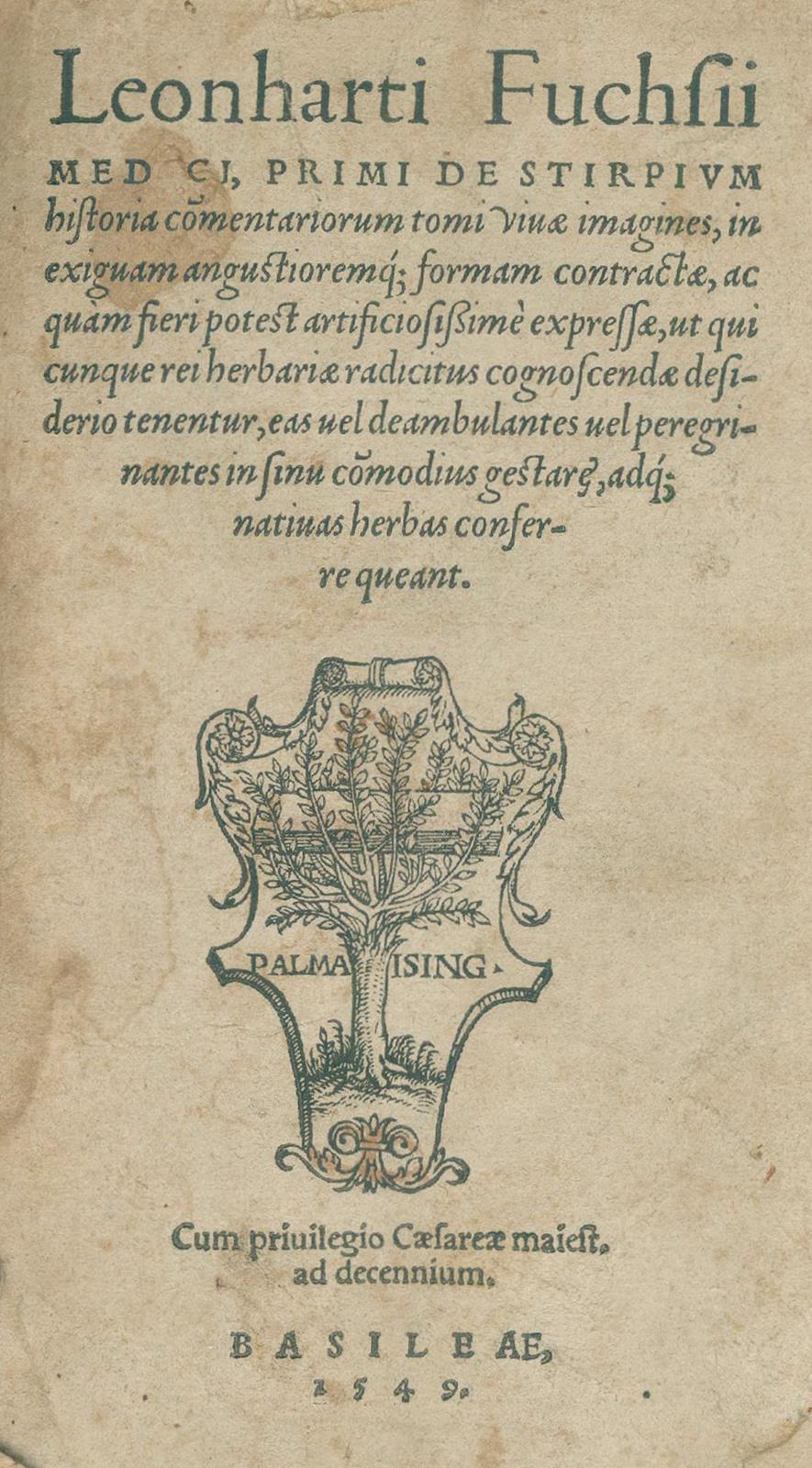 Fuchs,L. | Bild Nr.1