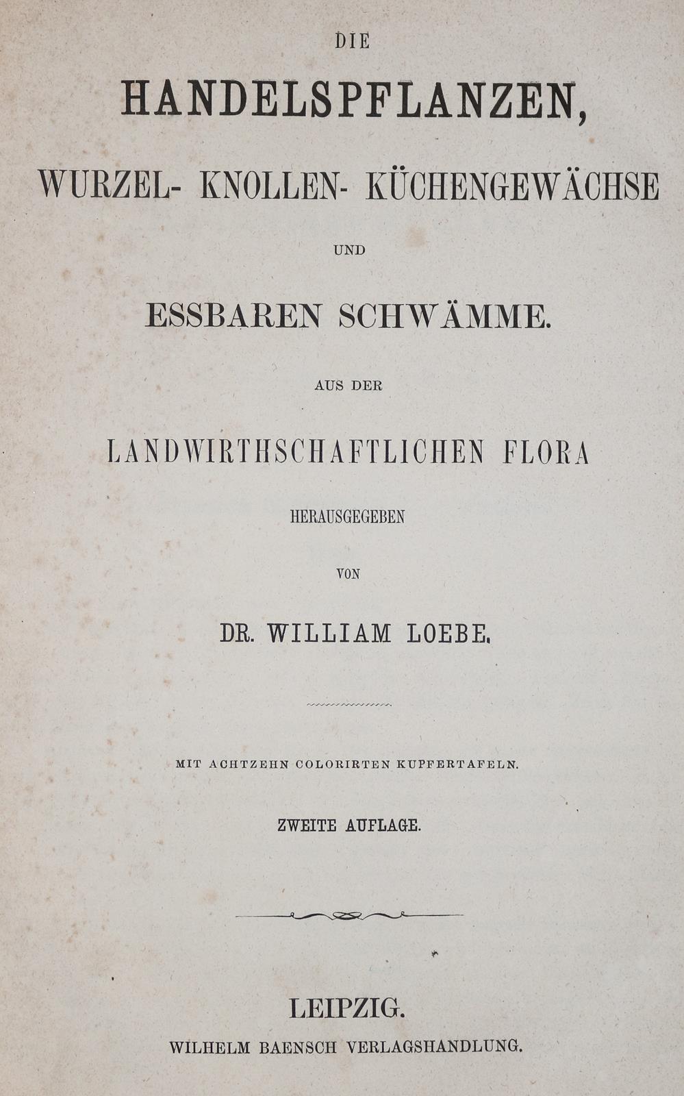 Loebe,W. | Bild Nr.2