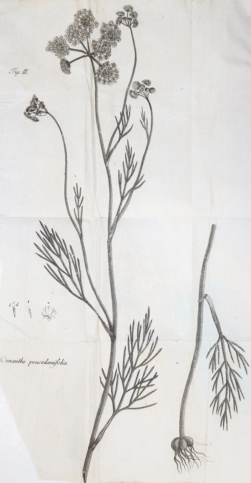 Pollich,J.A. | Bild Nr.1