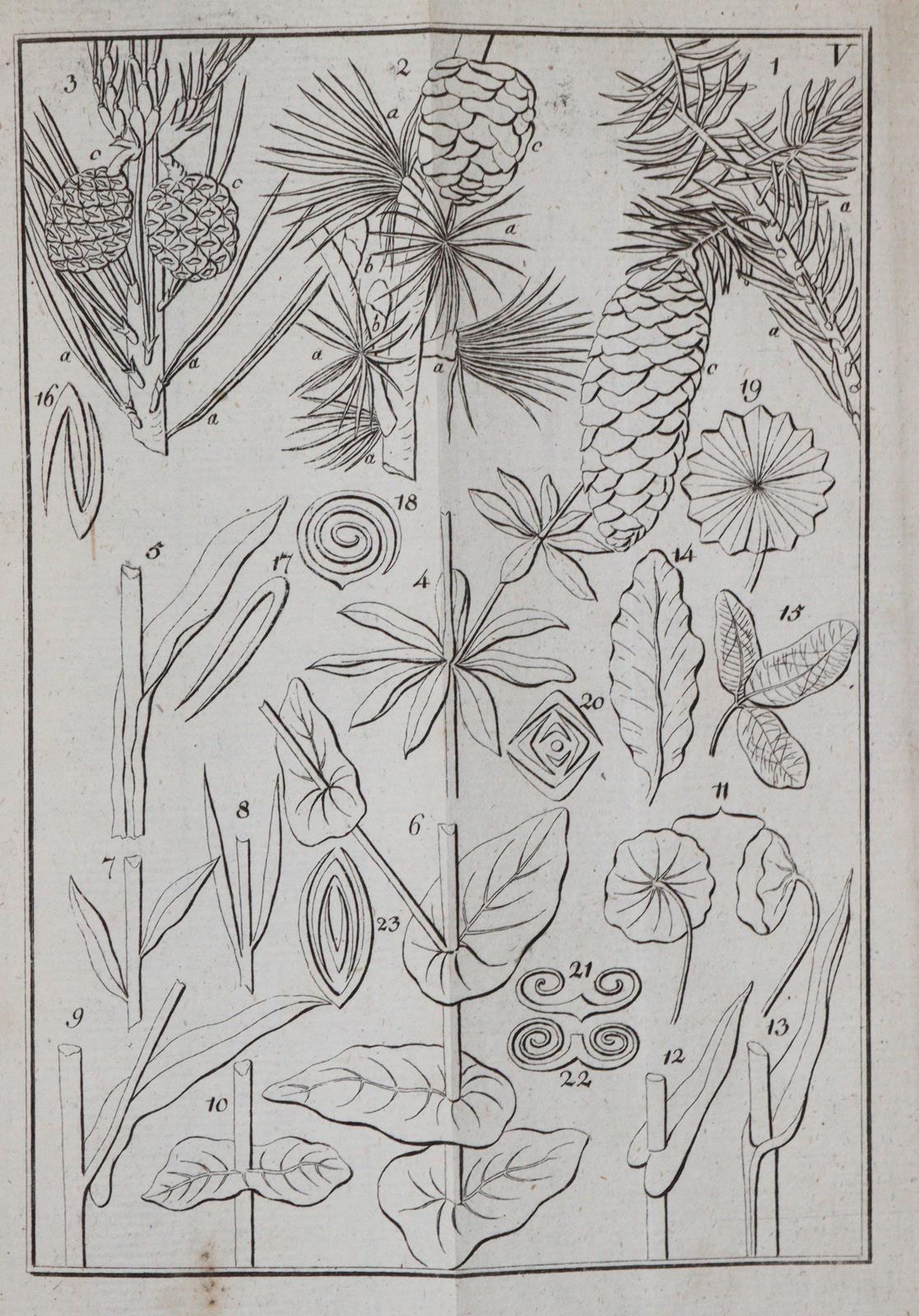 Suckow,G.A. | Bild Nr.2