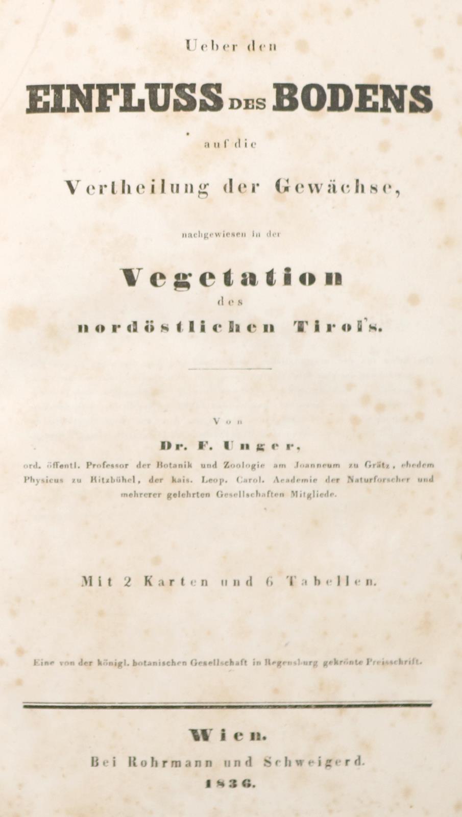 Unger,F. | Bild Nr.1