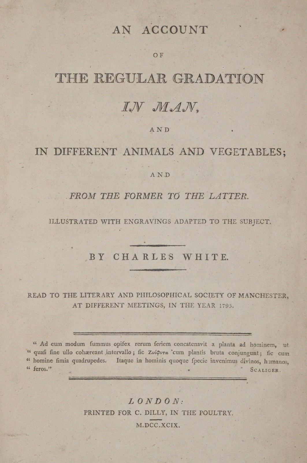 White,C. | Bild Nr.1