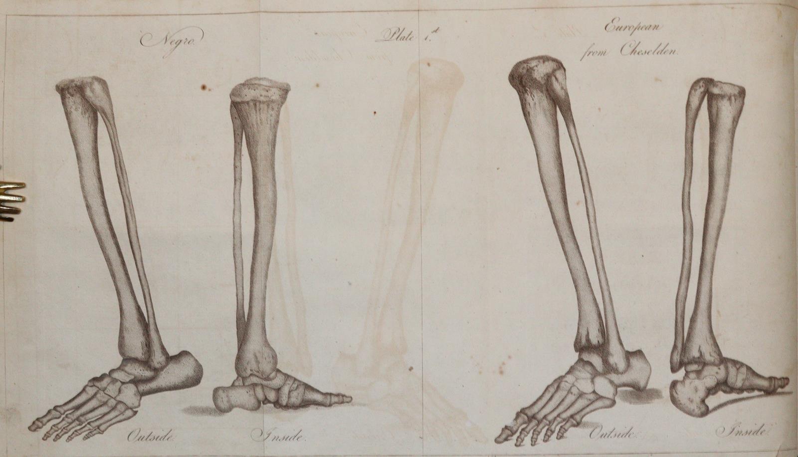 White,C. | Bild Nr.2