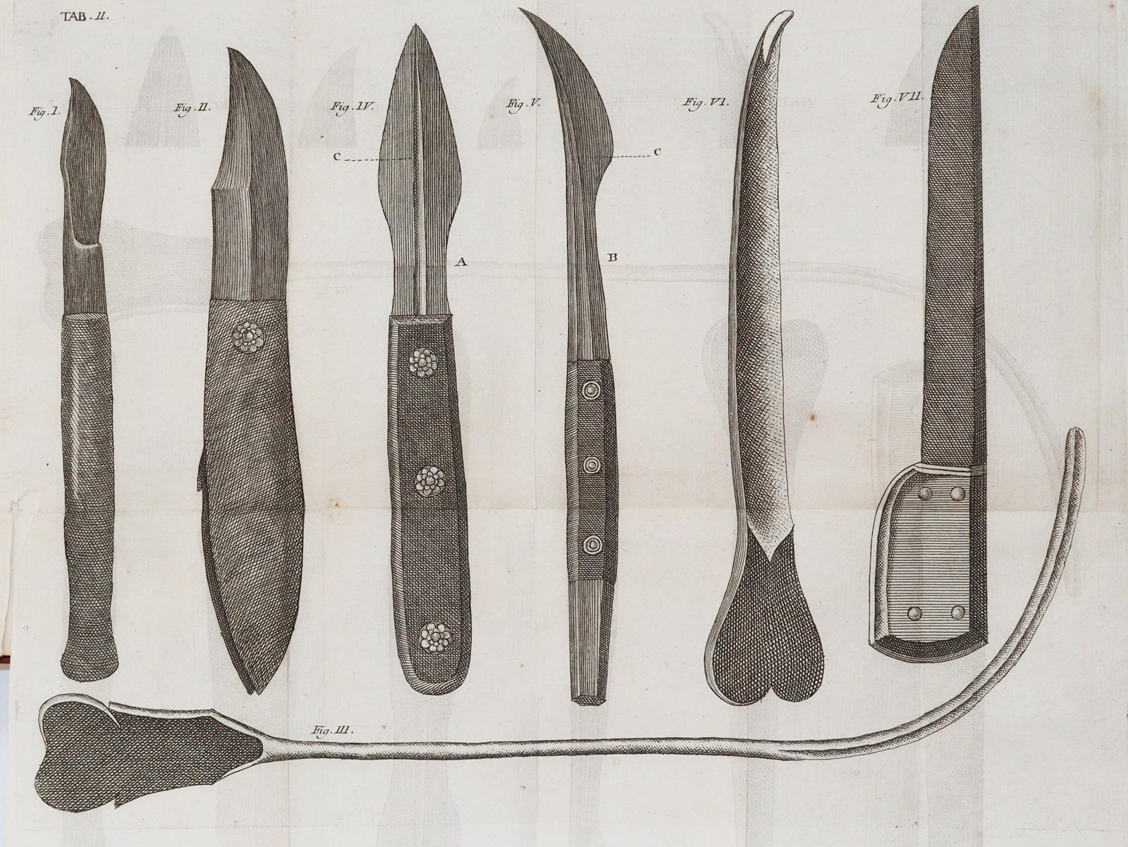 Bertrandi,(G.A.). | Bild Nr.2