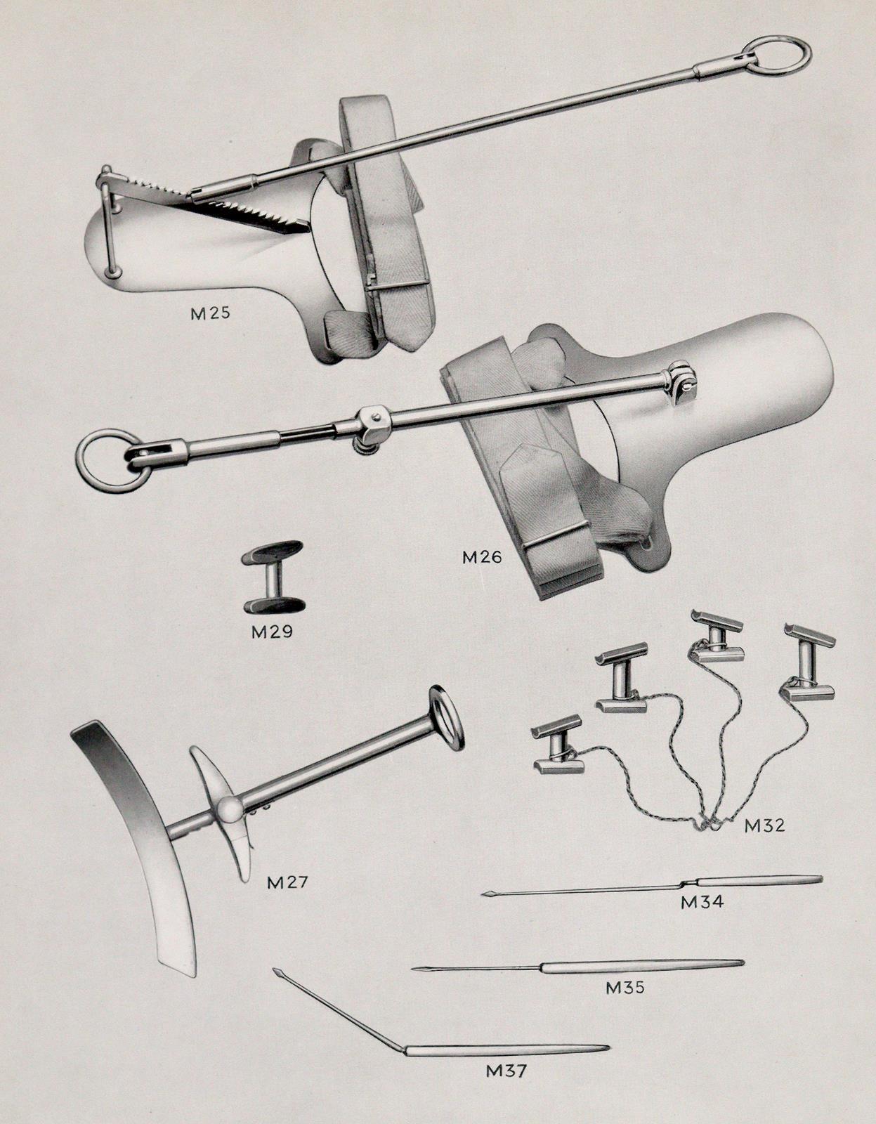 Siebold,E.C.J.v. | Bild Nr.3