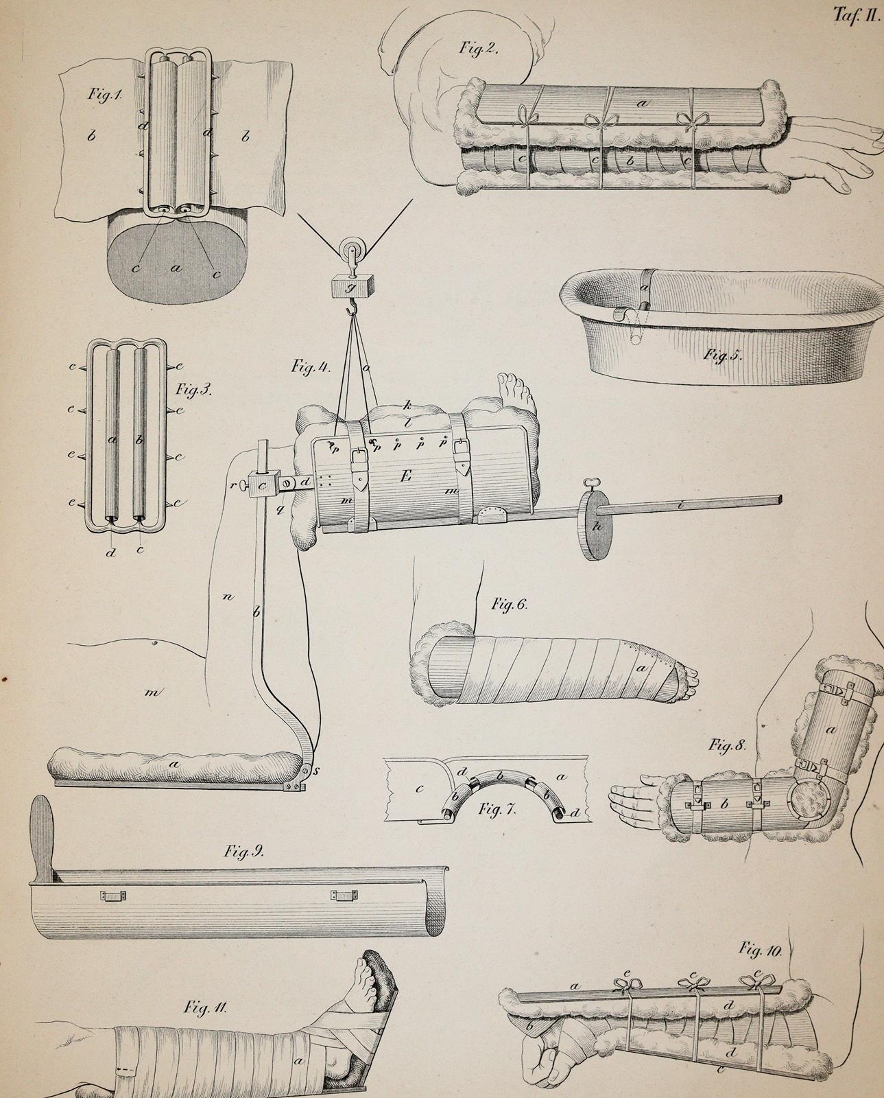 Siebold,E.C.J.v. | Bild Nr.7