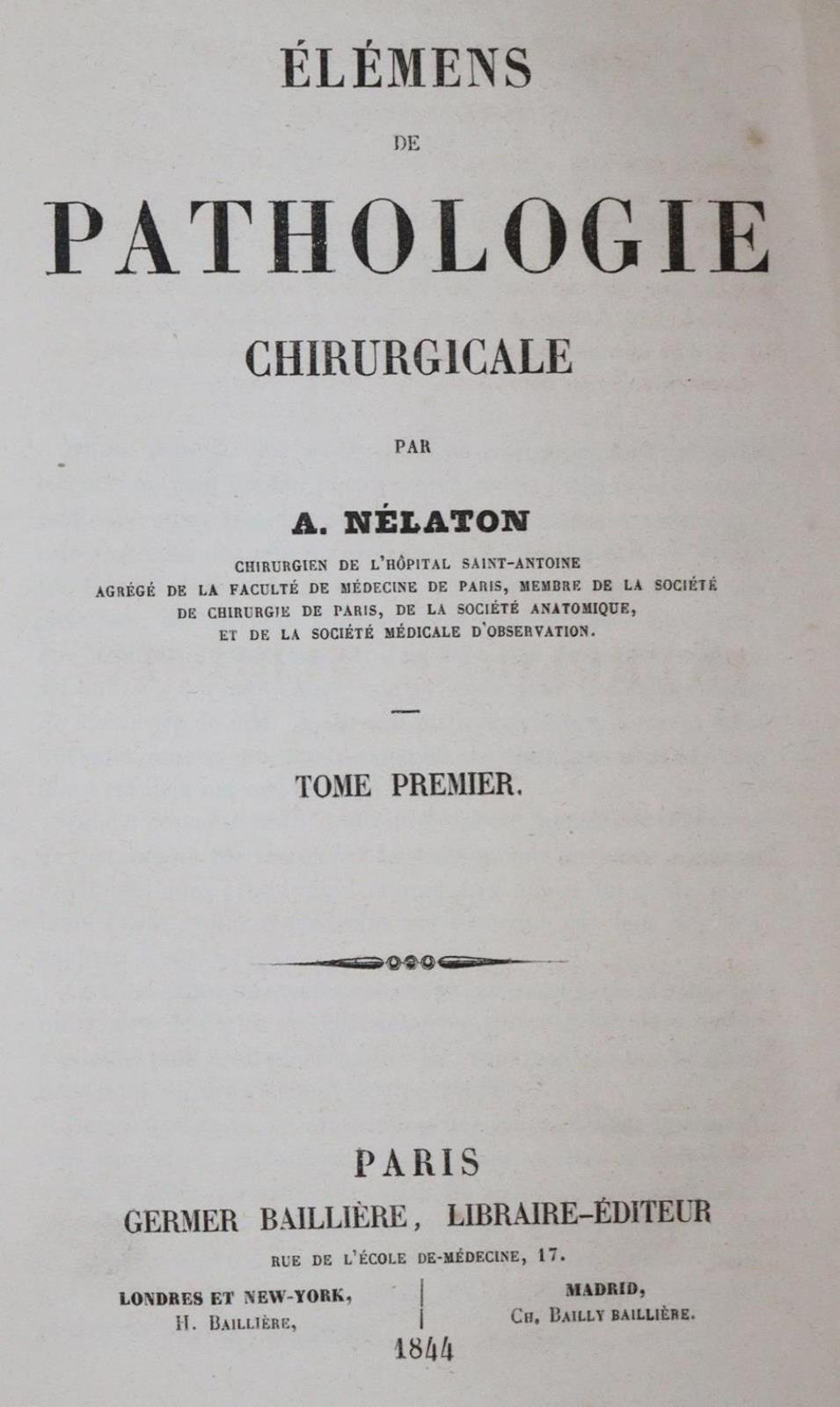 Siebold,E.C.J.v. | Bild Nr.10